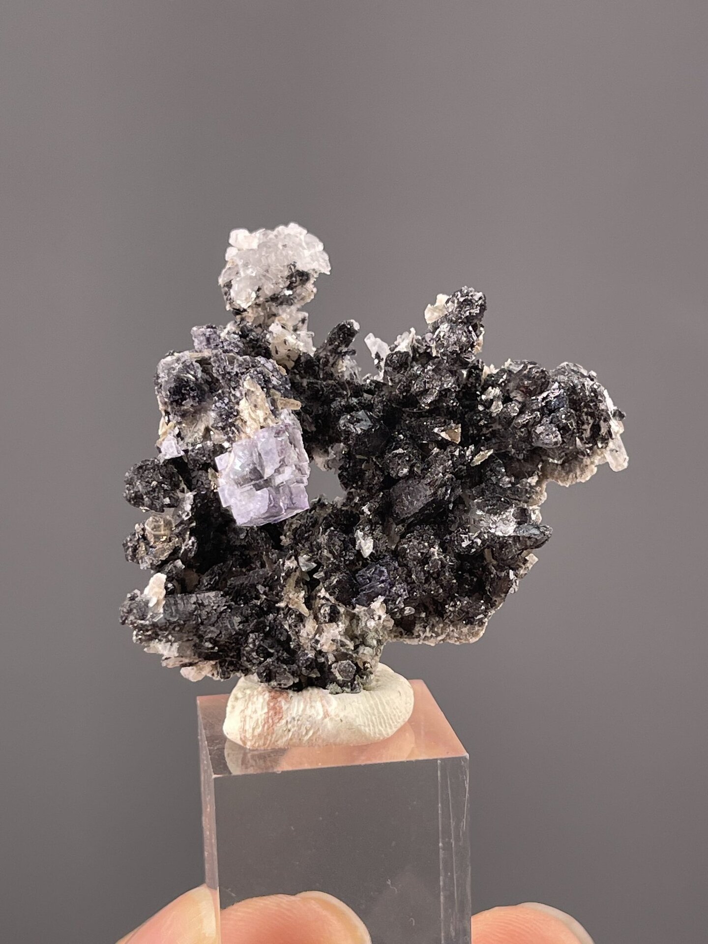 Side view showing fluorite cube on sphalerite matrix