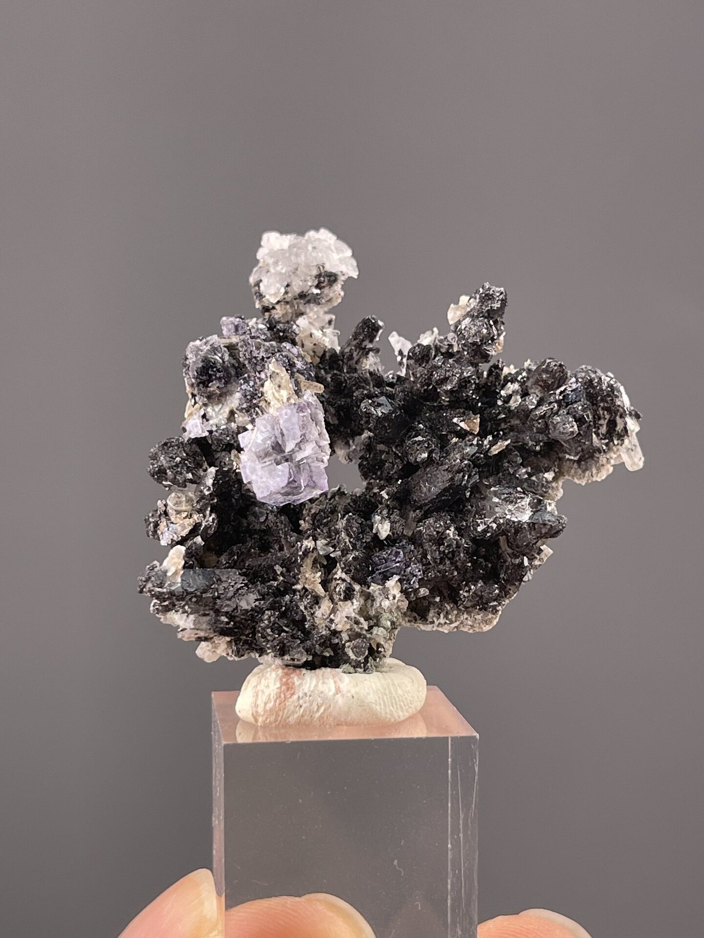 CaF₂ fluorite on ZnS sphalerite, Yaogangxian Mine Hunan