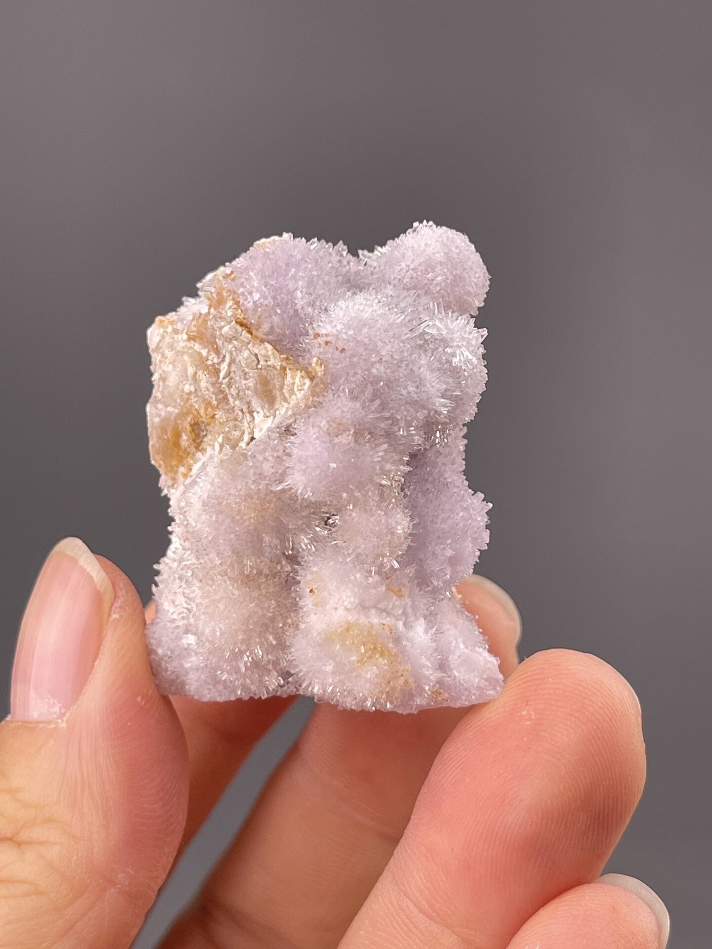 Front view of purple gypsum specimen, 11×12×15 mm, Guizhou