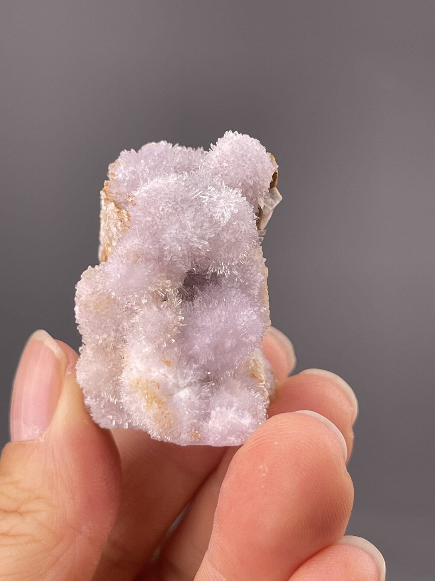 Close-up of acicular gypsum crystals showing purple tone