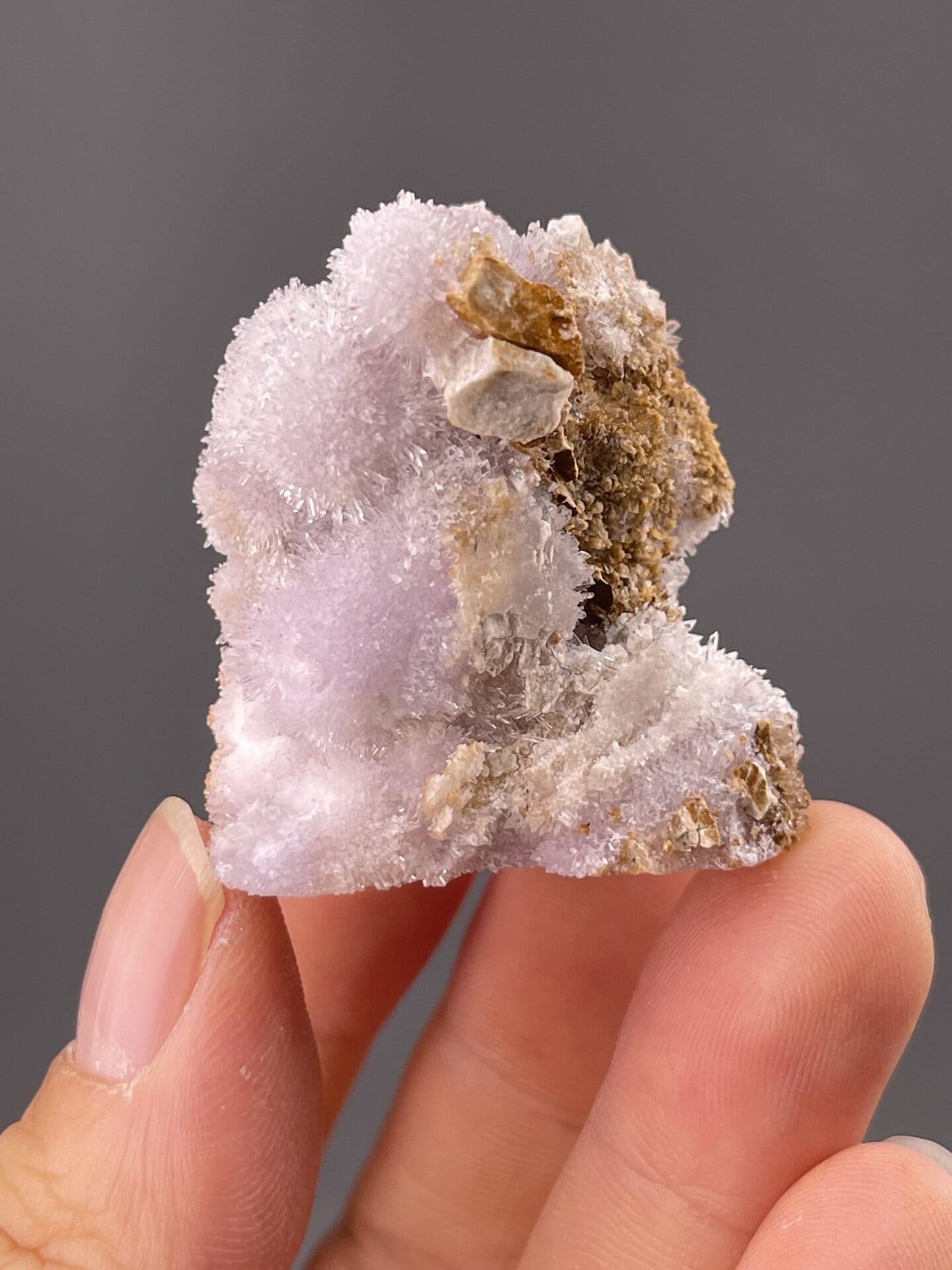 Side view of gypsum specimen showing radiating needle arrangement