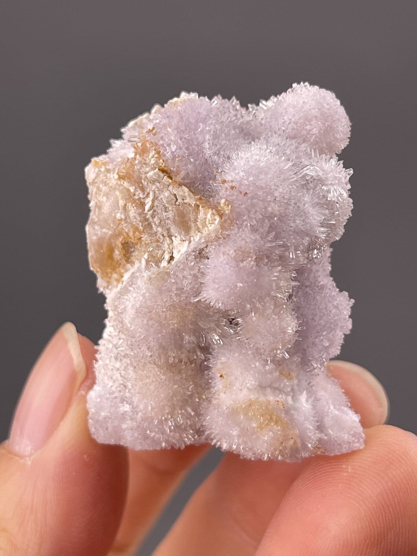 CaSO₄·2H₂O monoclinic gypsum, Mohs 2, acicular habit, Guizhou