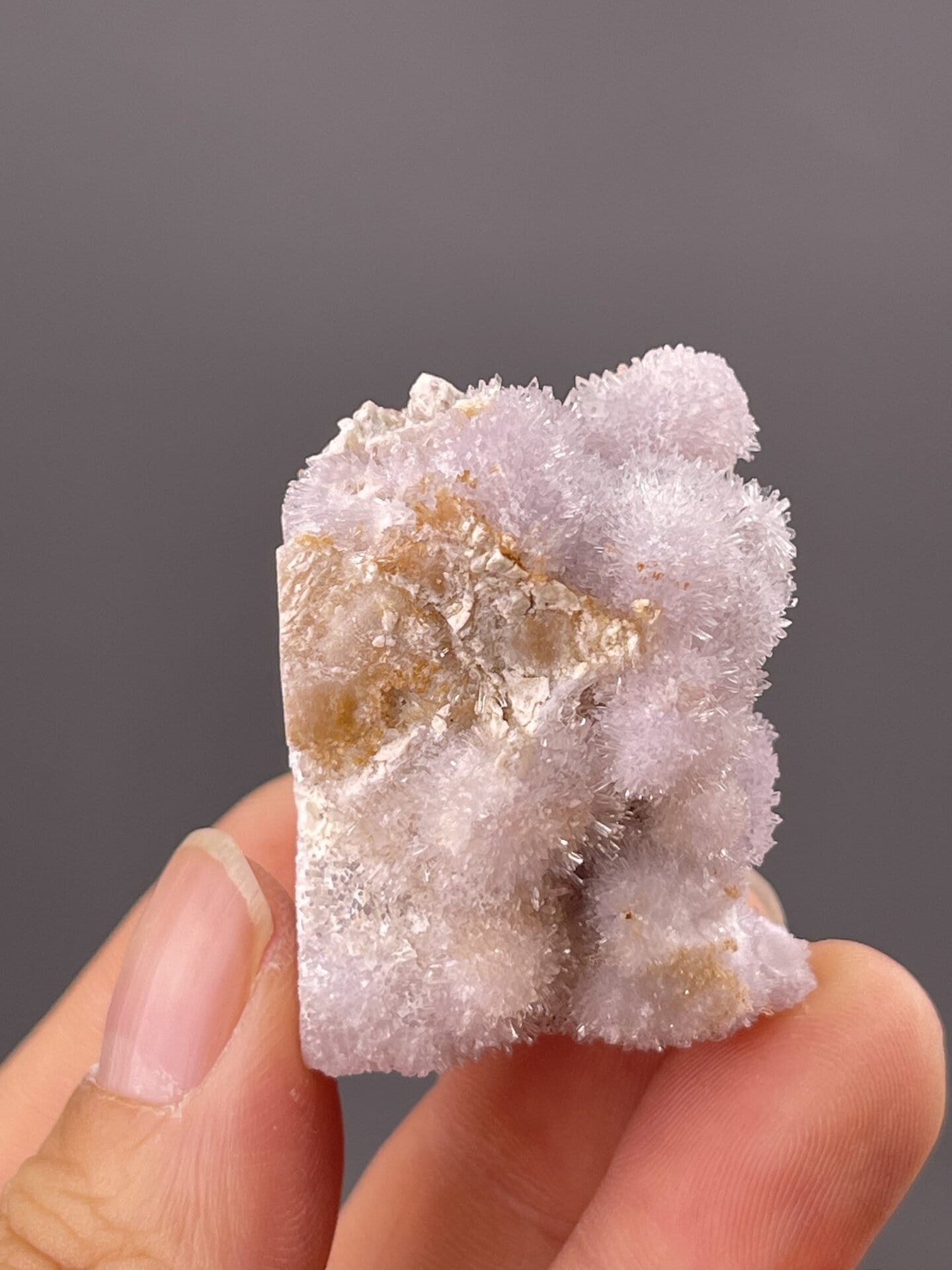 Top view of gypsum specimen showing needle crystal pattern