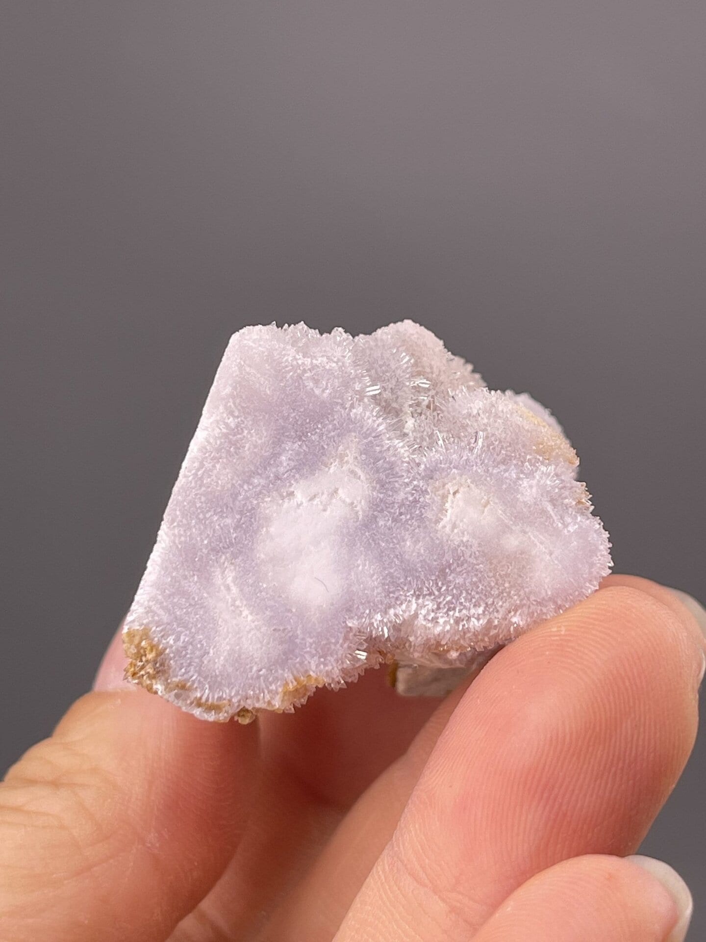 Detail of gypsum needles showing vitreous to silky surface