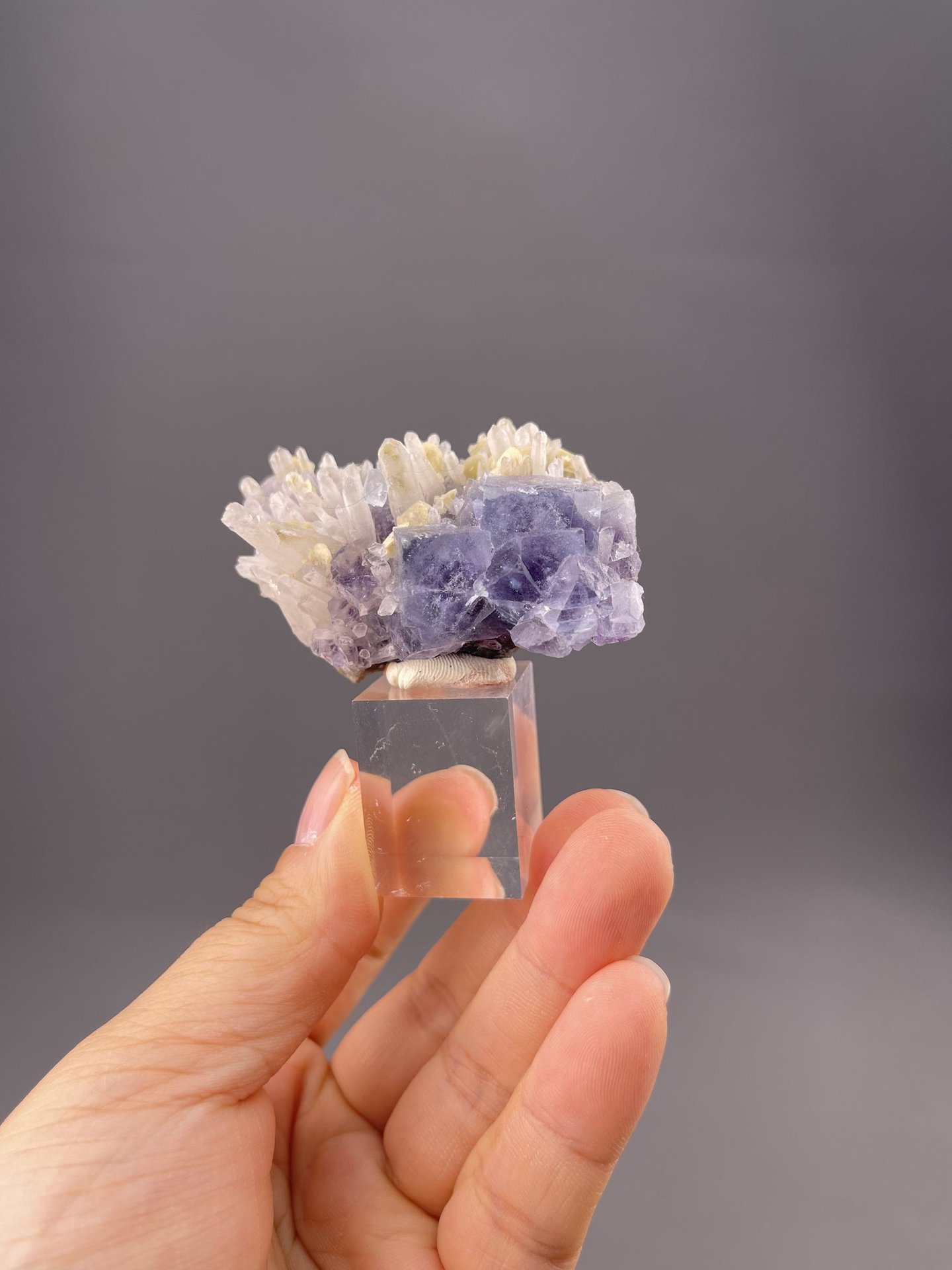 Front view of fluorite cluster, 23×16×10 mm, Yaogangxian Mine