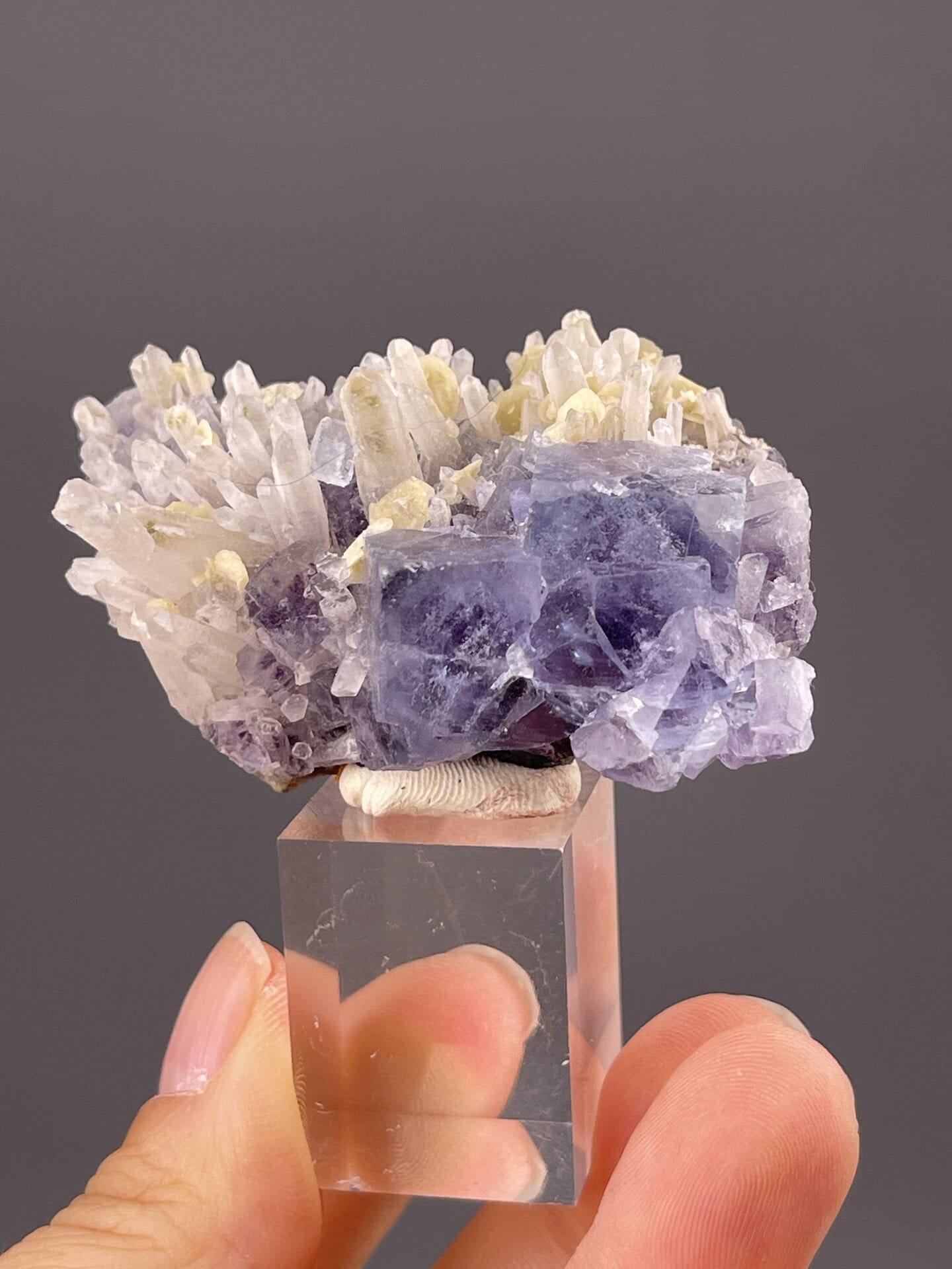 Close-up of phantom fluorite showing growth zone pattern