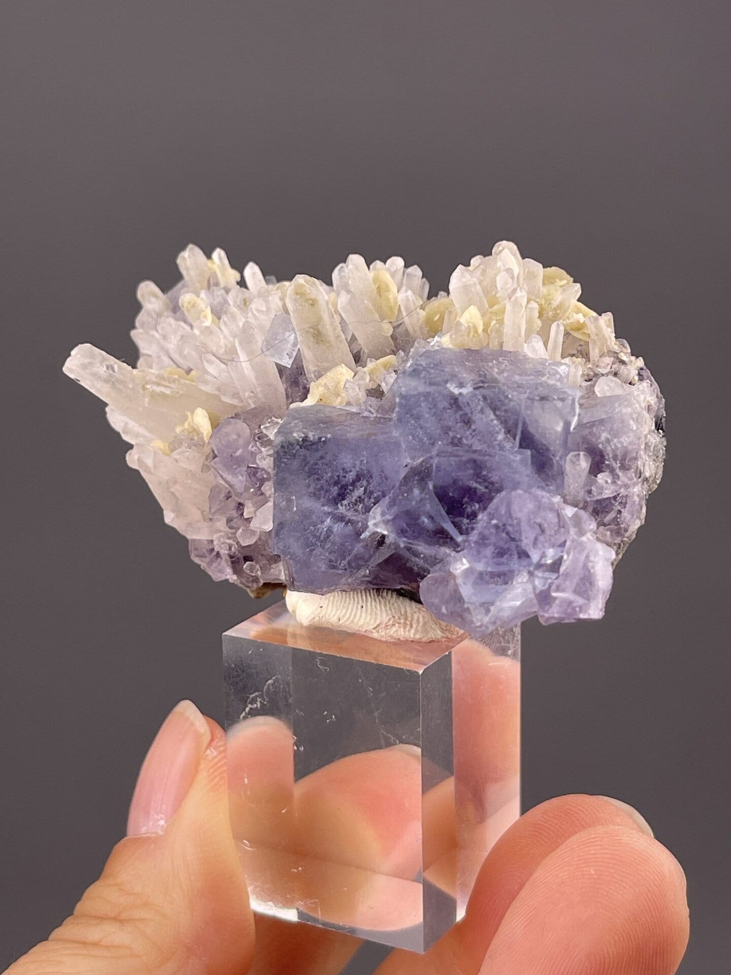 Side view of fluorite cluster showing cubic crystal arrangement