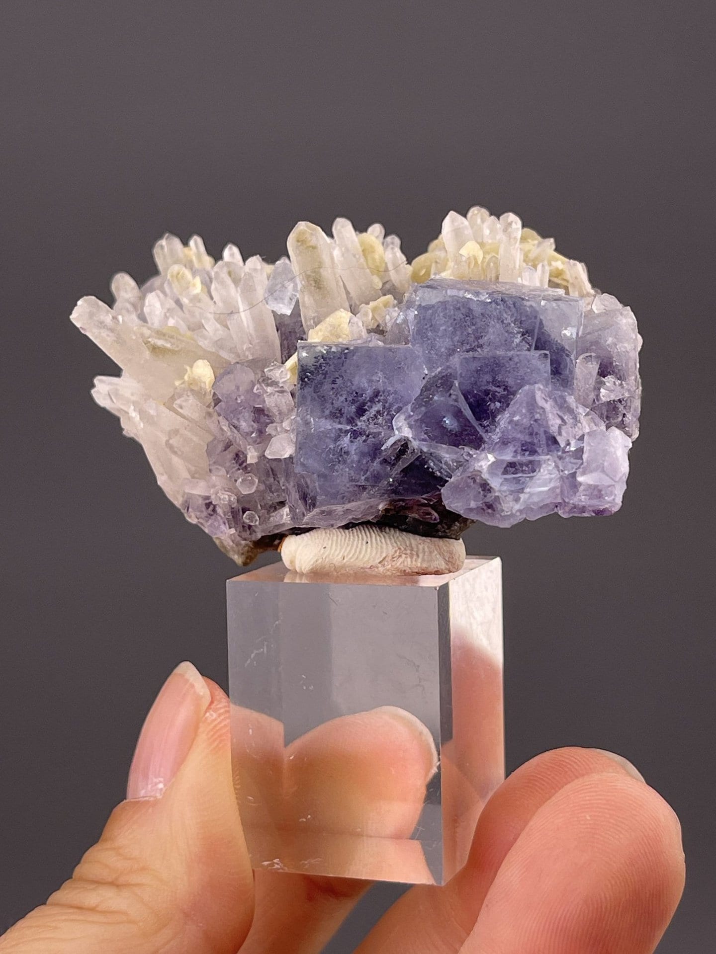 CaF₂ isometric fluorite with phantom zoning, Yaogangxian Hunan