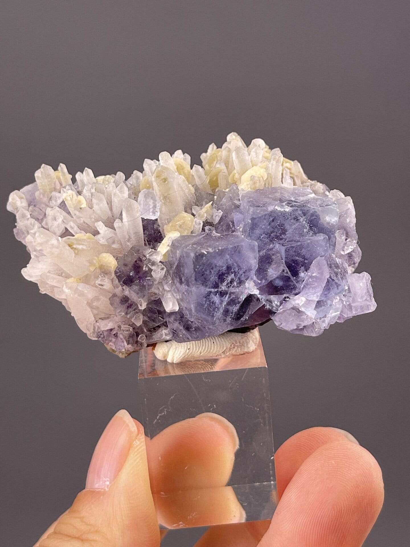 Top view of fluorite cluster showing multiple phantom crystals