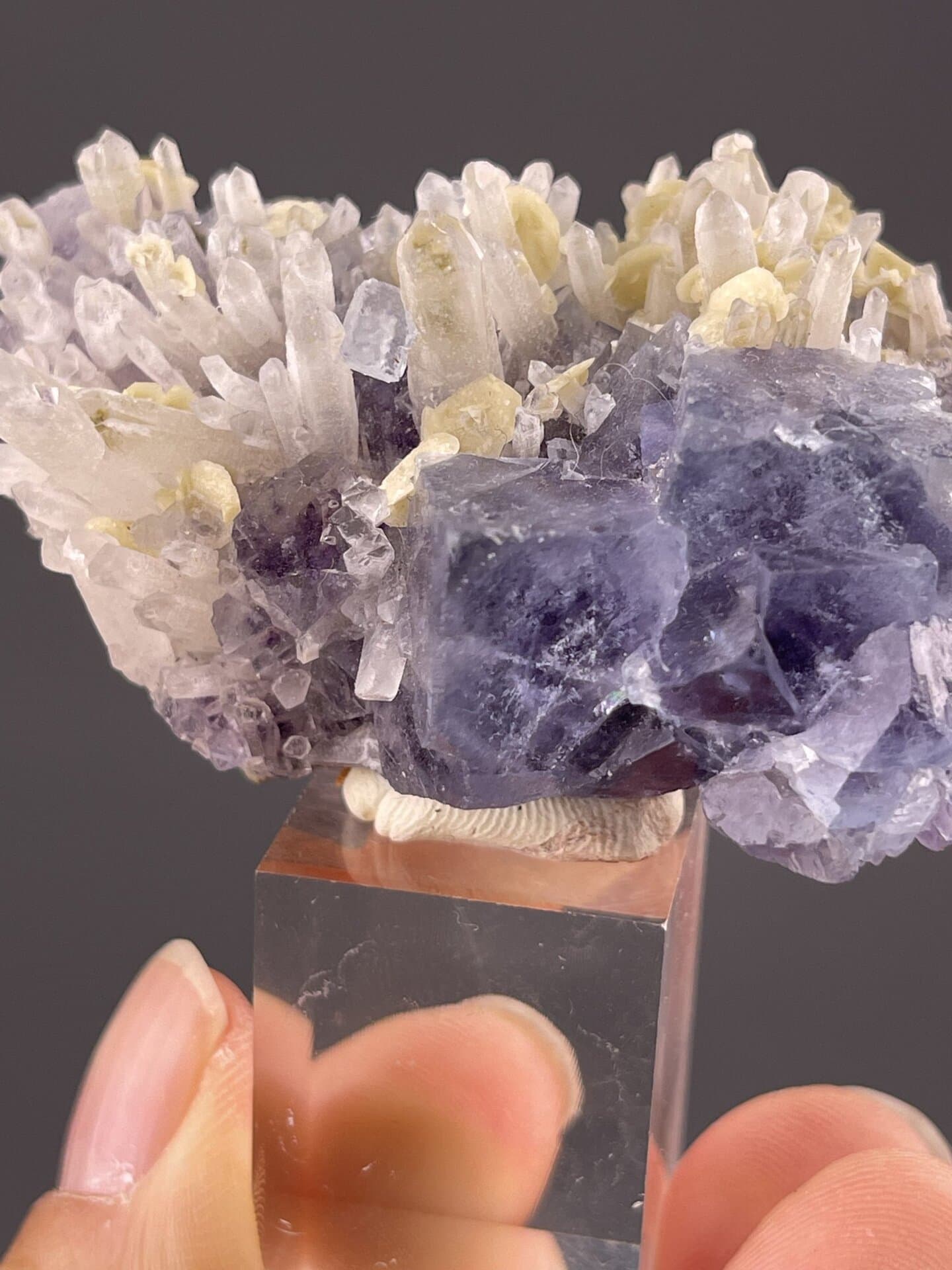 Detail of fluorite showing vitreous luster and purple colour