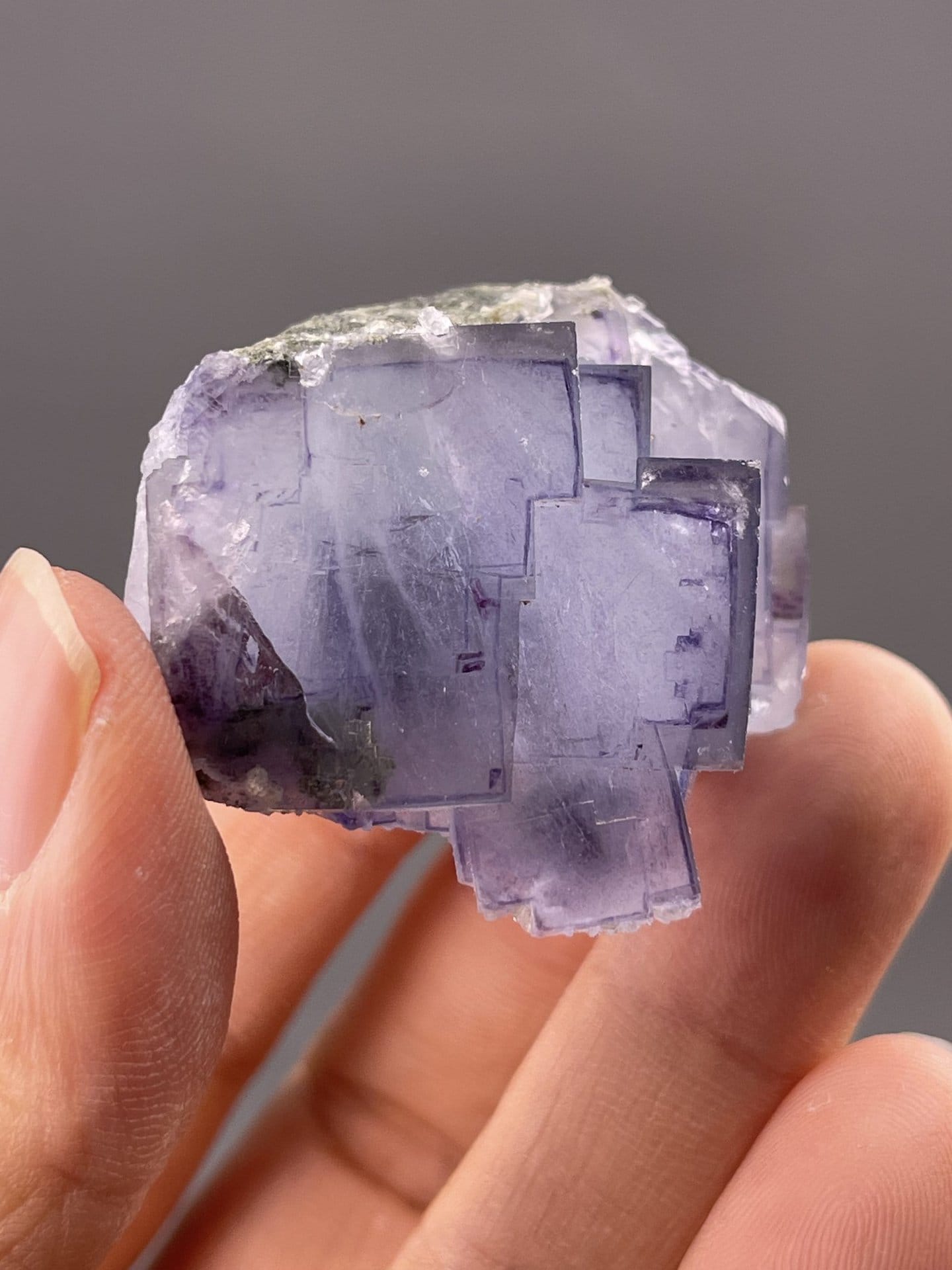 Close-up of phantom fluorite showing internal growth phantoms