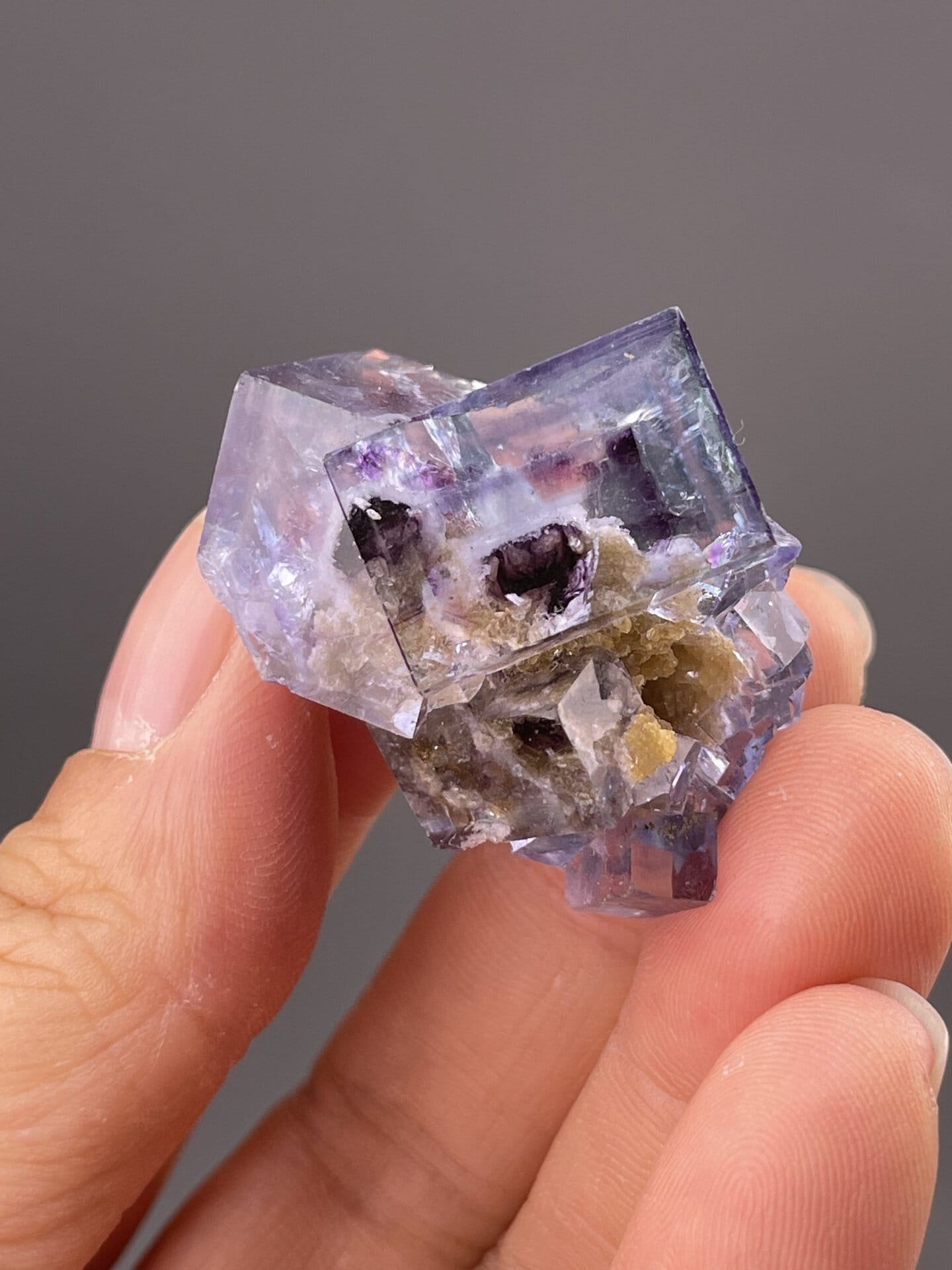 Close-up of fluorite showing phantom colour zoning in purple