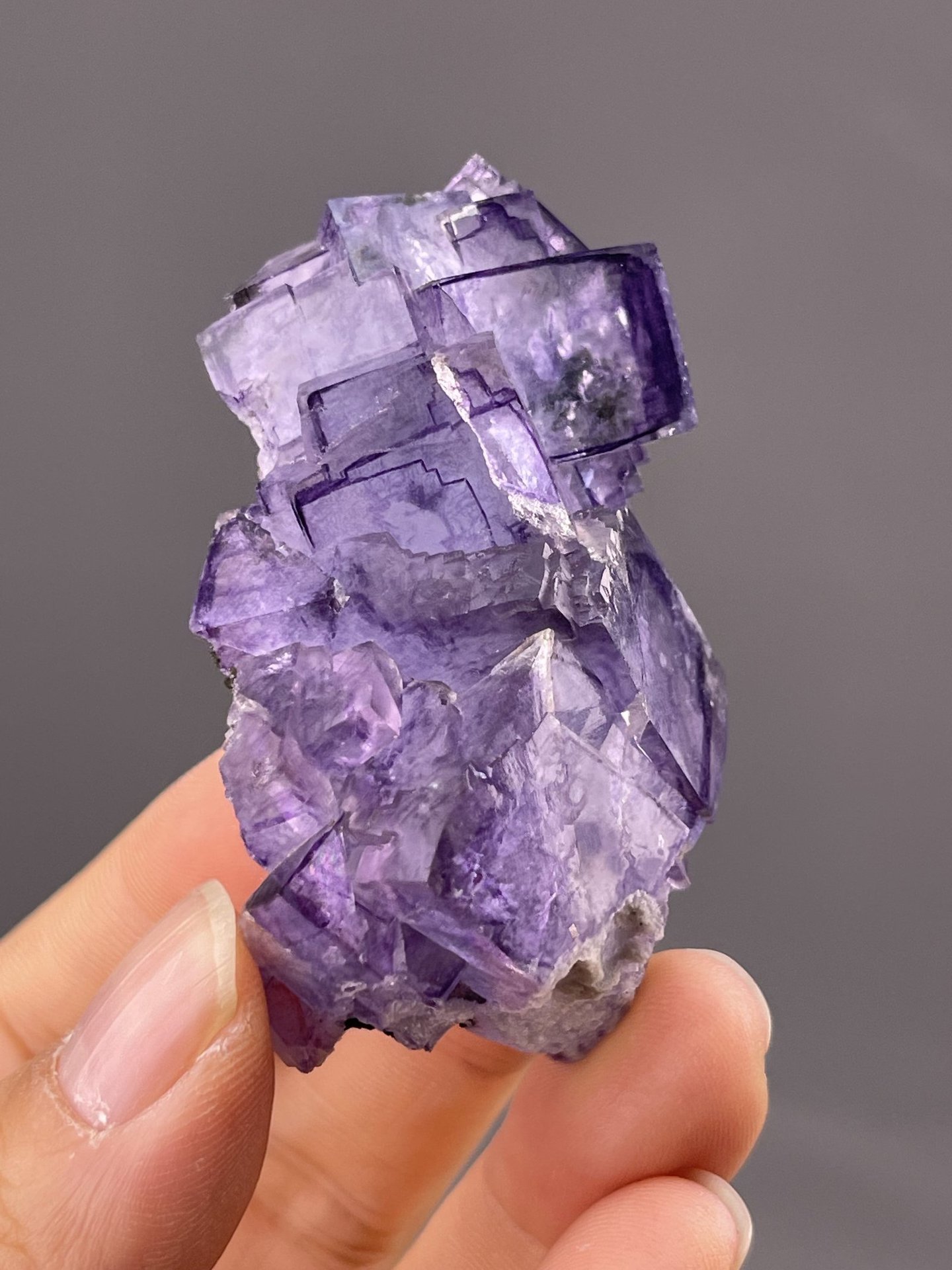Close-up of fluorite cube showing phantom growth zones in purple