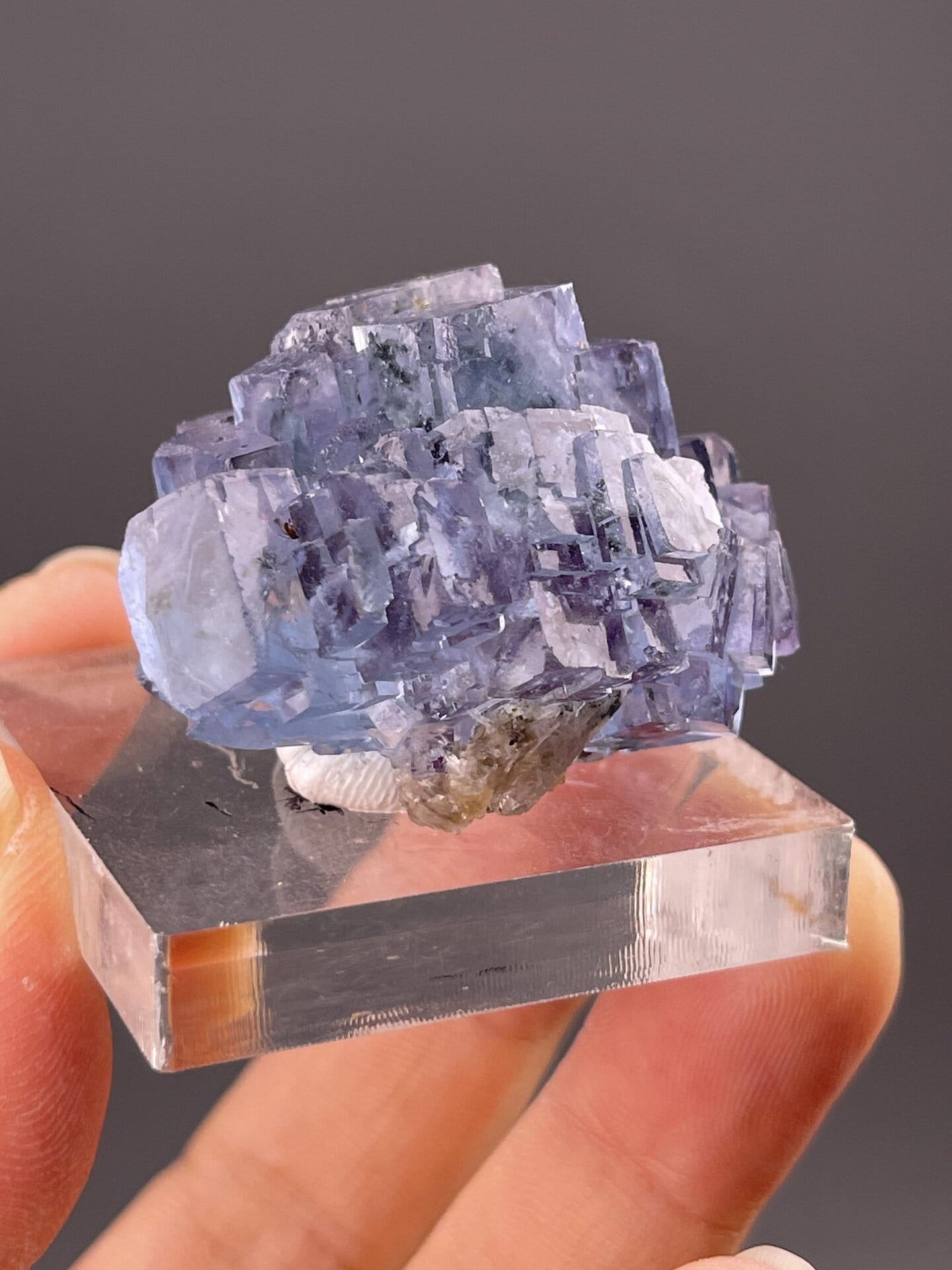 Stepped fluorite crystal showing phantom growth zones in purple, 1.4 g
