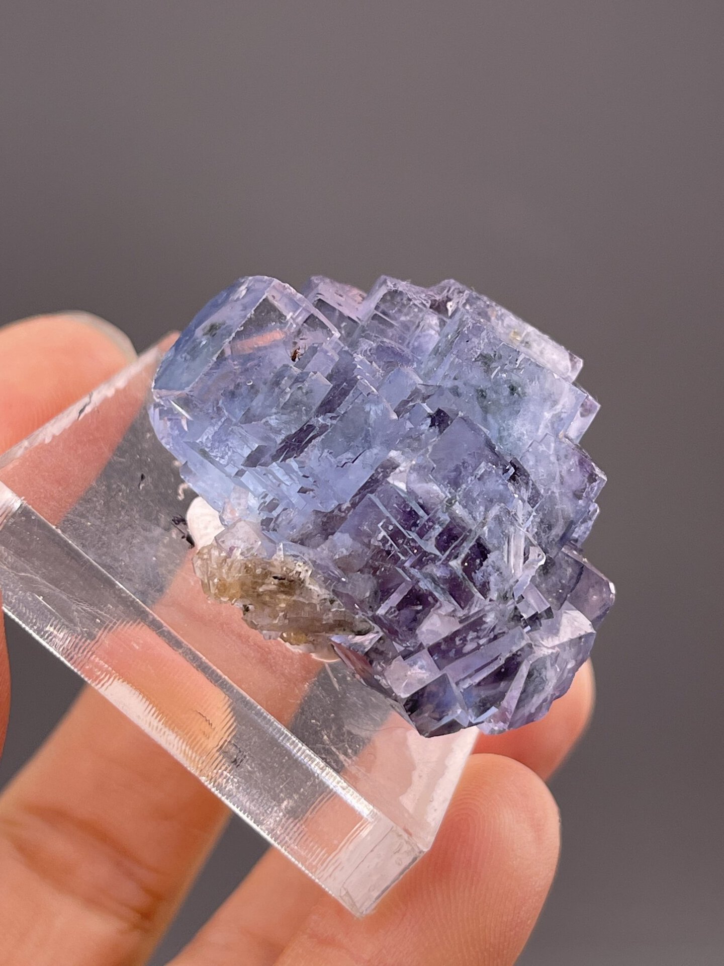 Detail of fluorite showing vitreous luster and phantom zoning