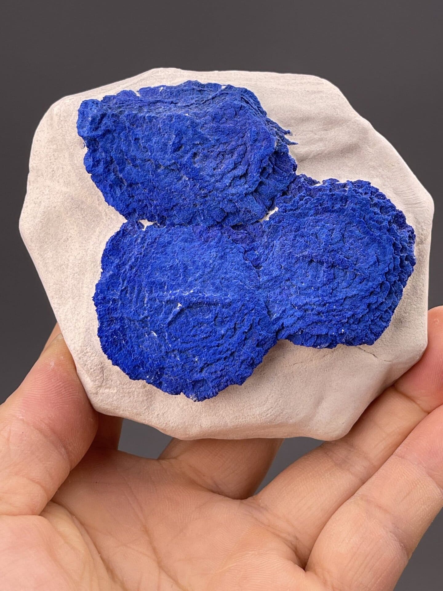 Front view of Azurite Sun, 35×31×14 mm, Northern Territory Australia