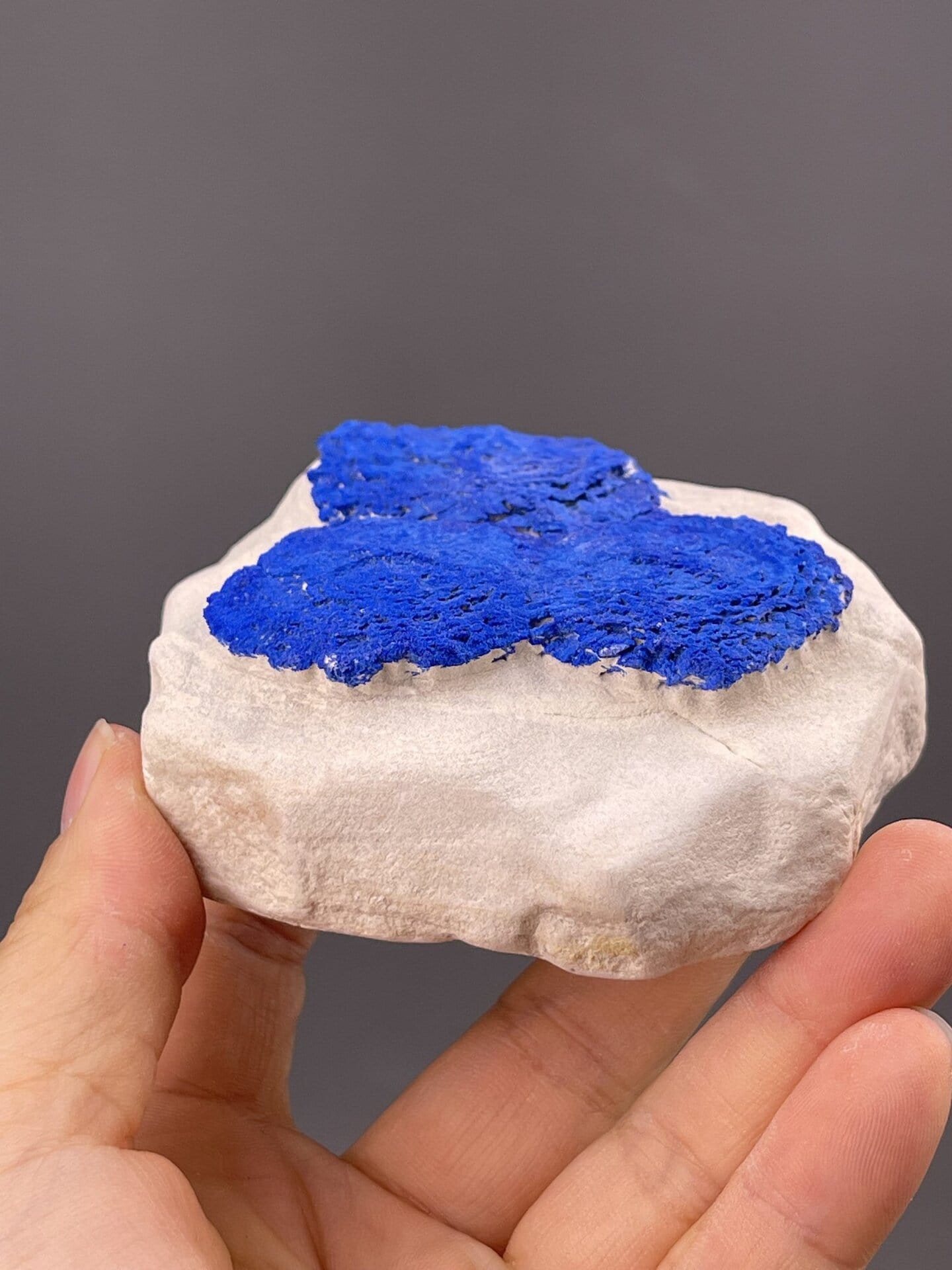 Cu₃(CO₃)₂(OH)₂ monoclinic azurite, Malbunka Mine, Northern Territory