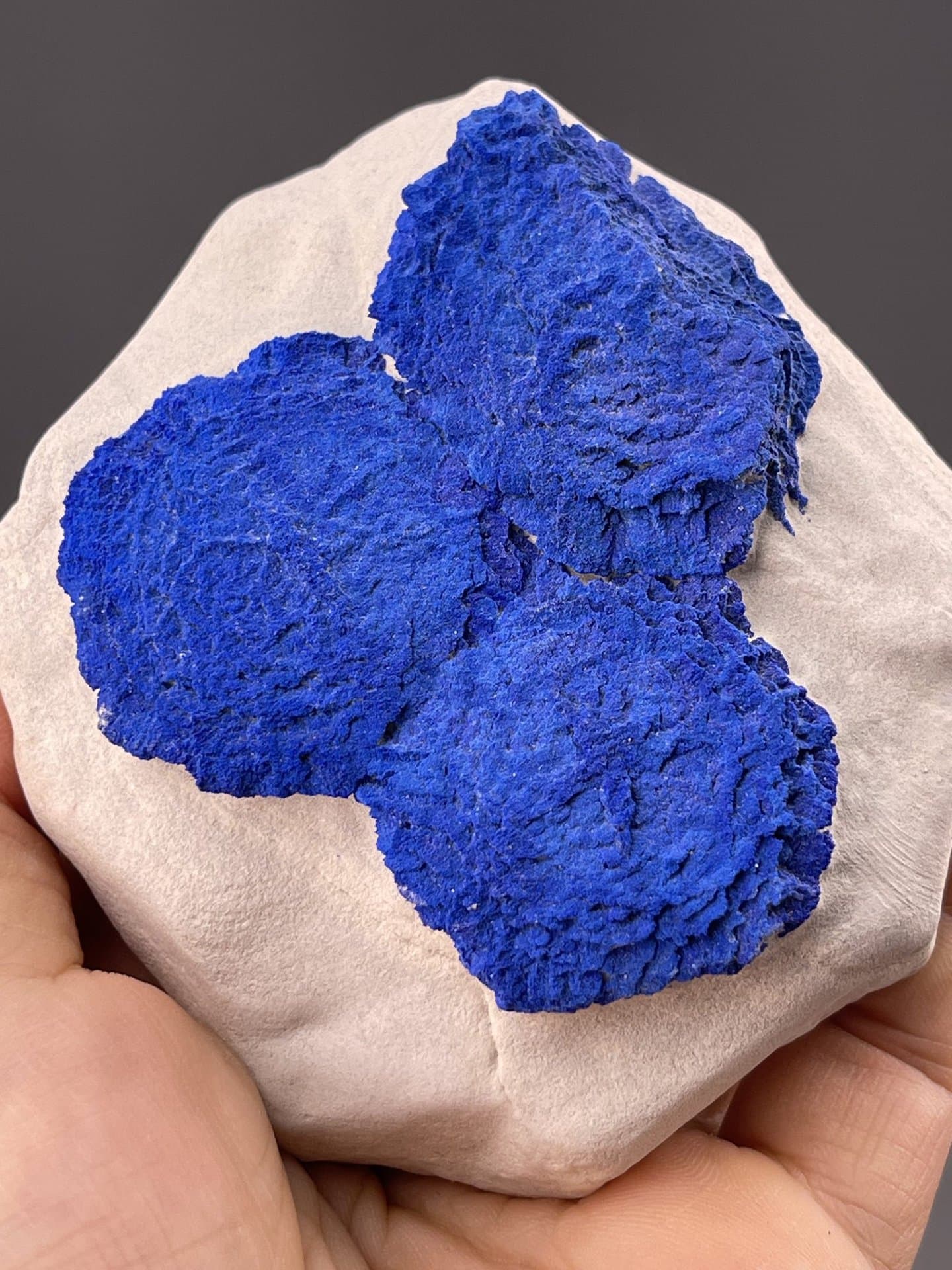 Angled view of Malbunka azurite showing radiating crystal texture