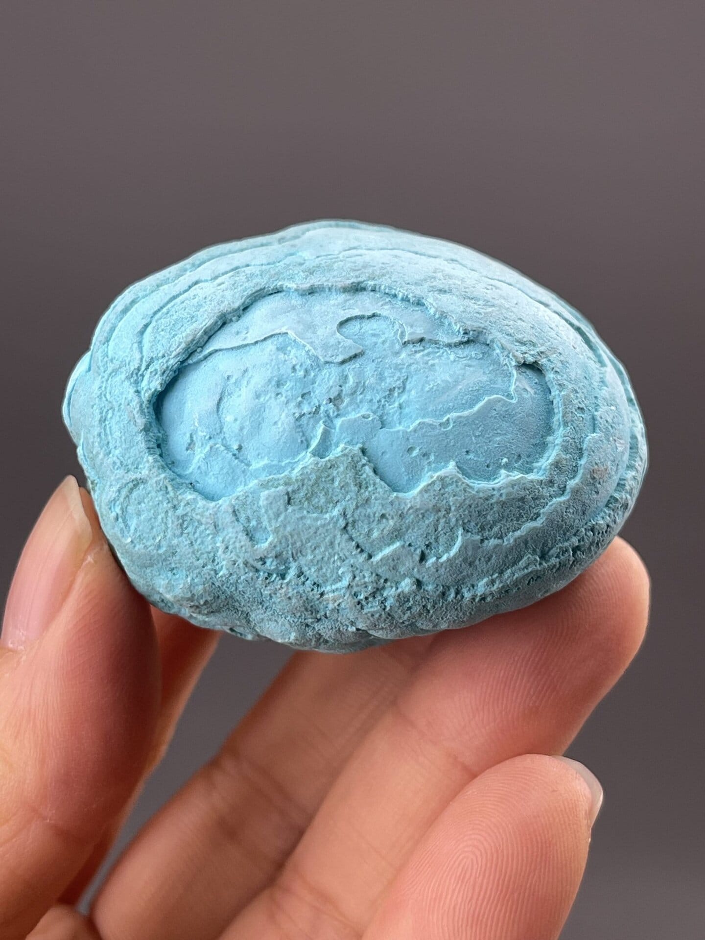 Chrysocolla Mineral Specimen from Democratic Republic of Congo – scale reference view