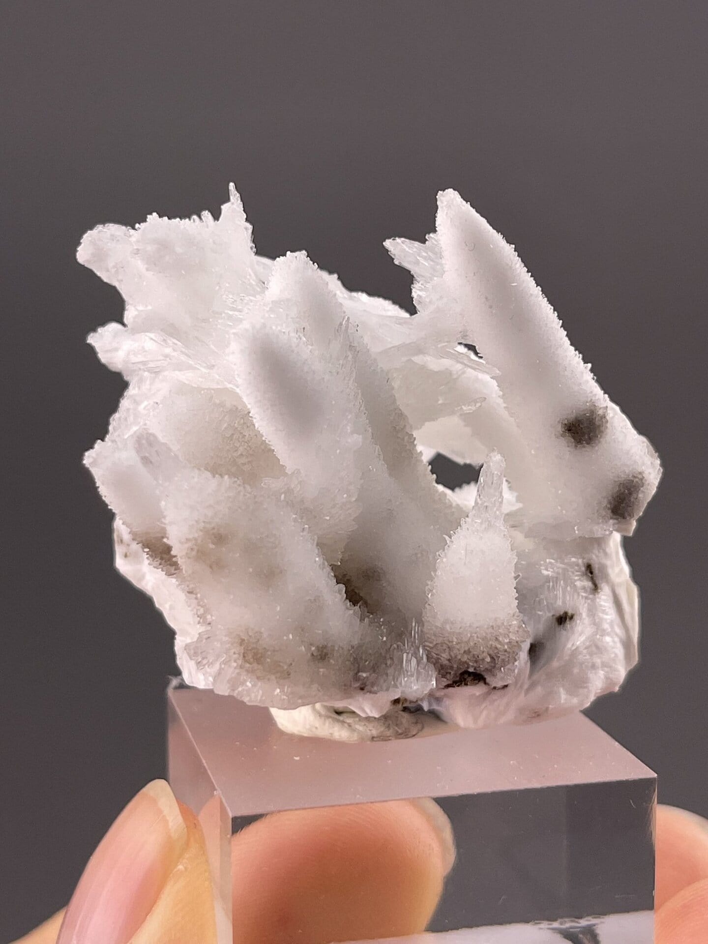 Close-up of acicular aragonite showing fine needle crystal habits