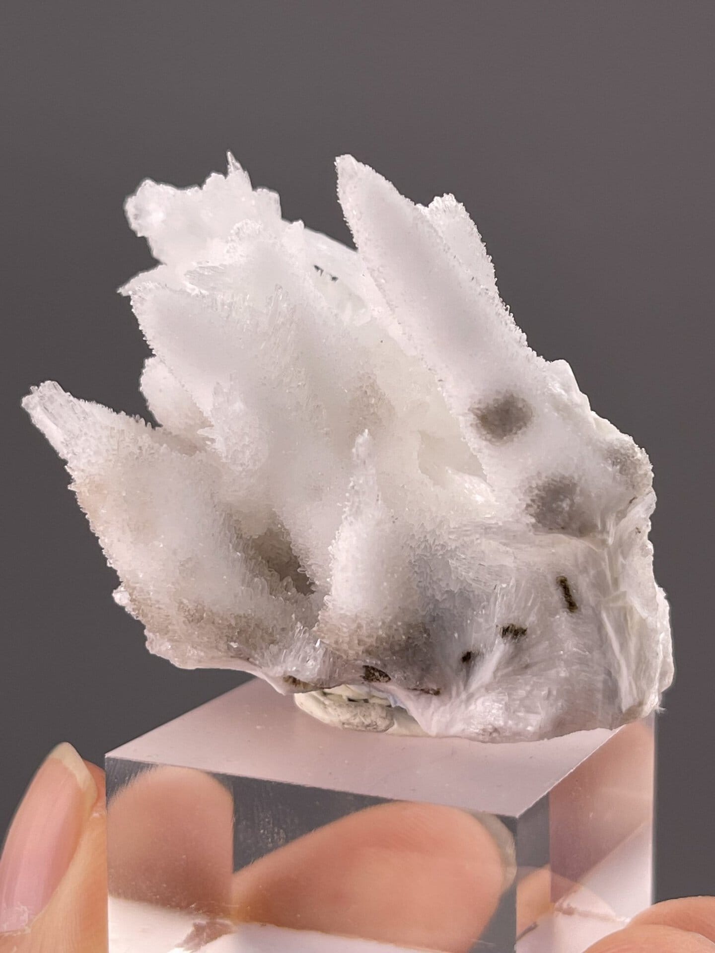 Side view of aragonite cluster showing radiating crystal growth