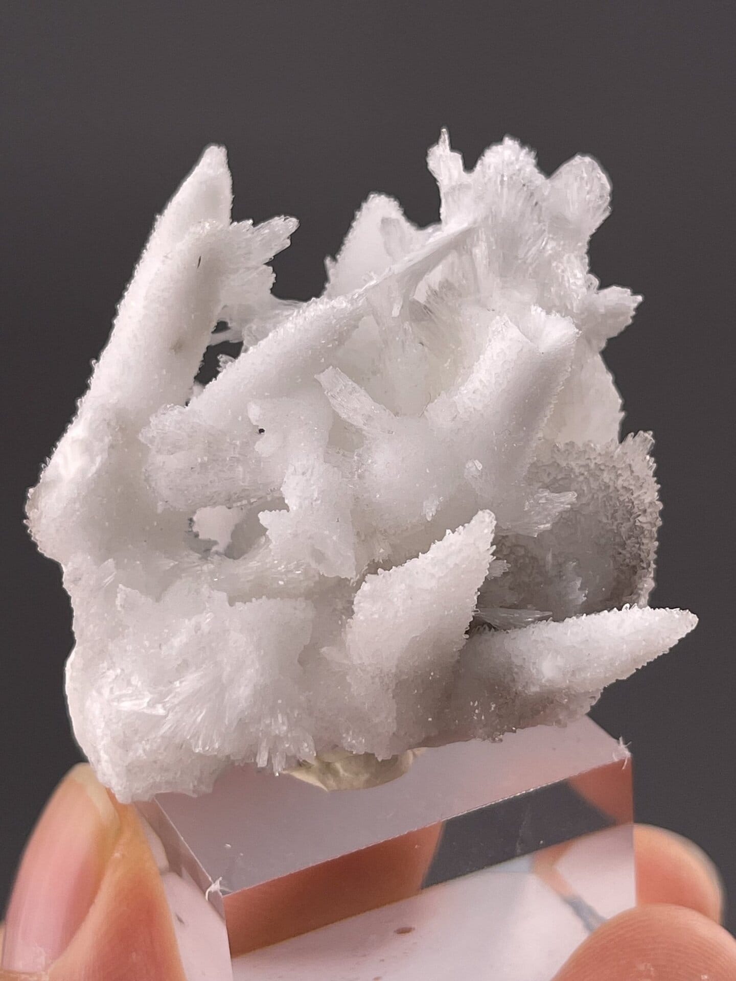 Detail of aragonite crystals showing vitreous surface luster