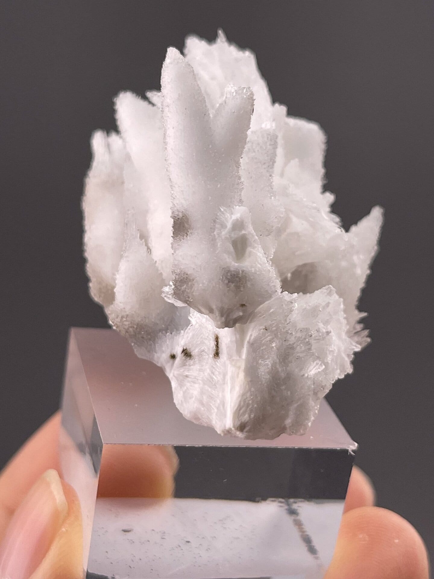 Angled view of Guizhou aragonite cluster highlighting white crystals