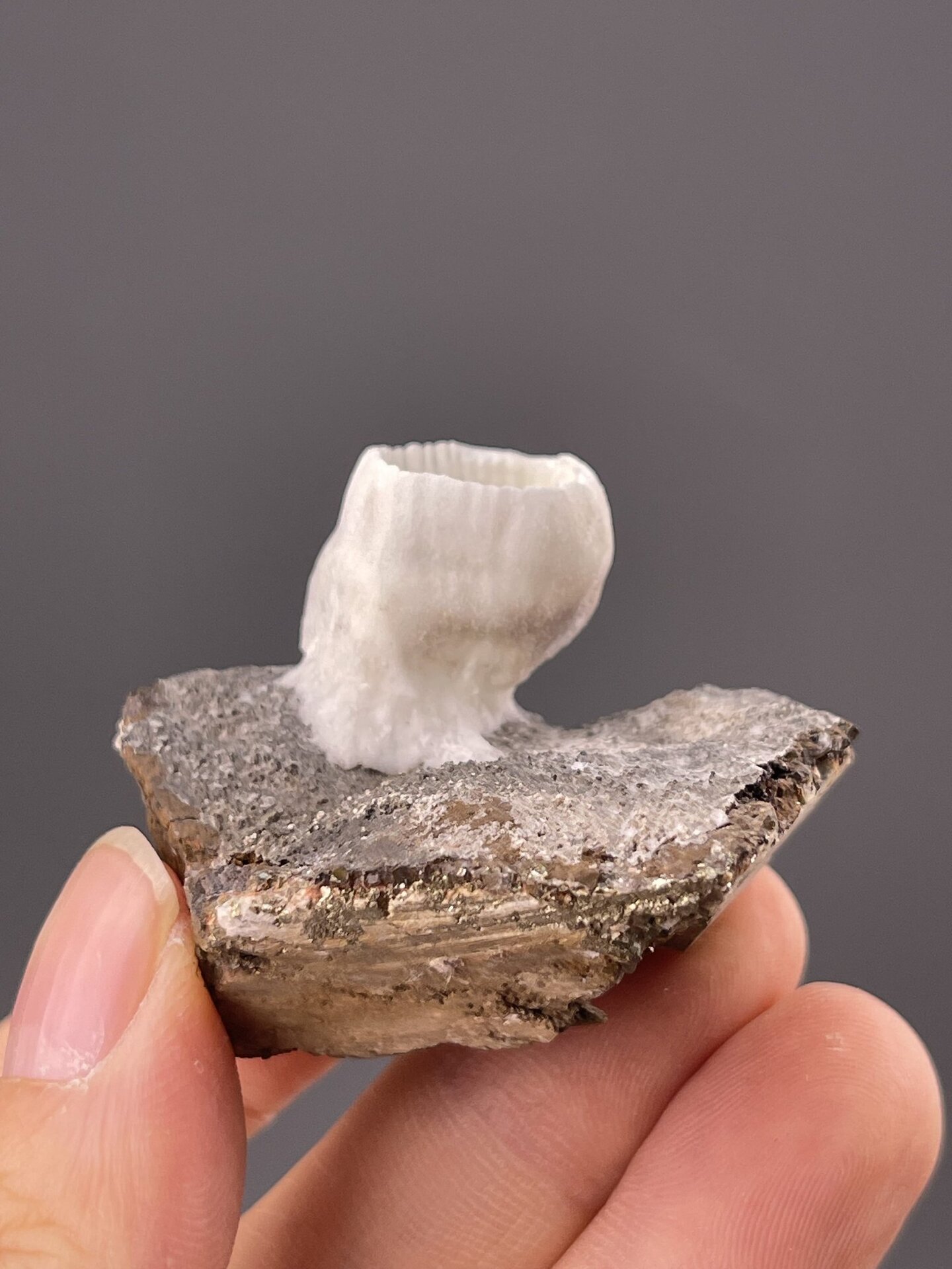 Front view of aragonite goblet form, 17×13×13 mm, Yunnan China