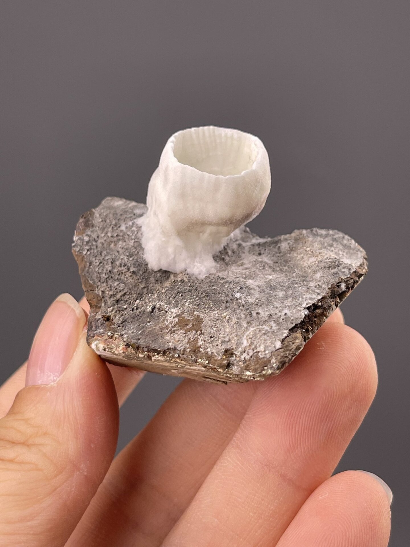 Close-up of aragonite ribbed surface showing orthorhombic habit