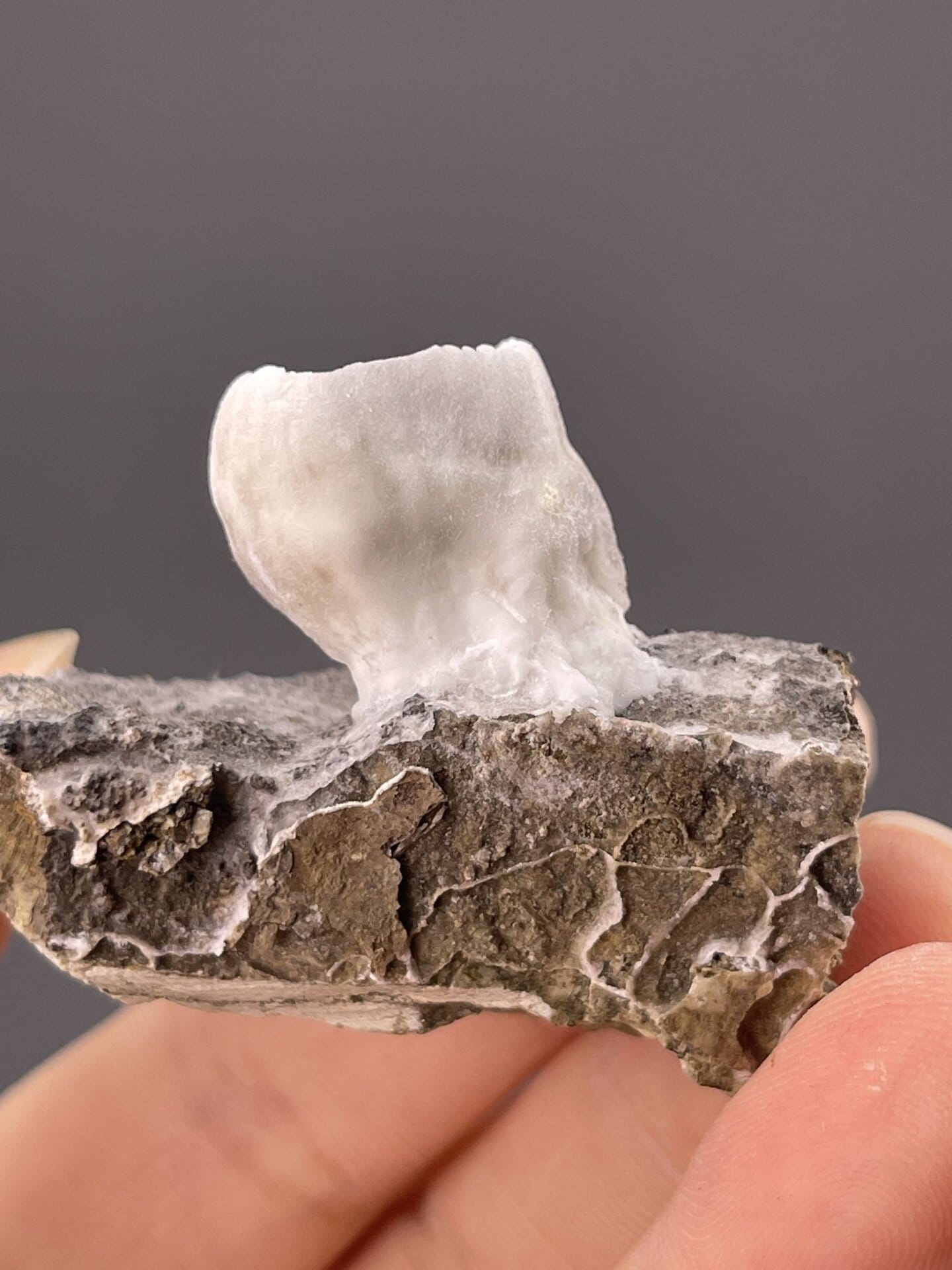 Angled view of Yunnan aragonite highlighting unique goblet form