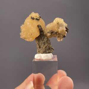 Calcite Specimen - Branching Form - Vibrant Color - Daye Mine, Hubei, China - Collectible Mineral