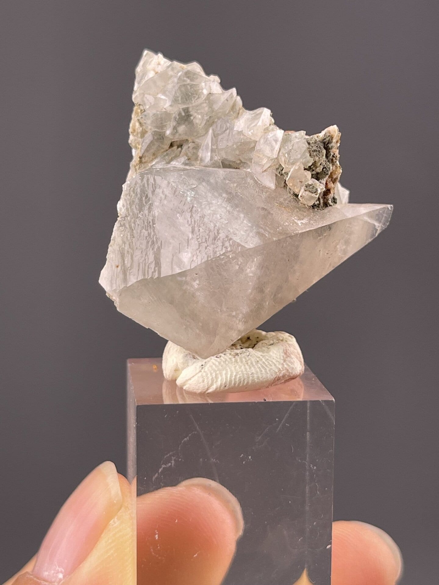 Close-up of white calcite showing scalenohedral dogtooth form