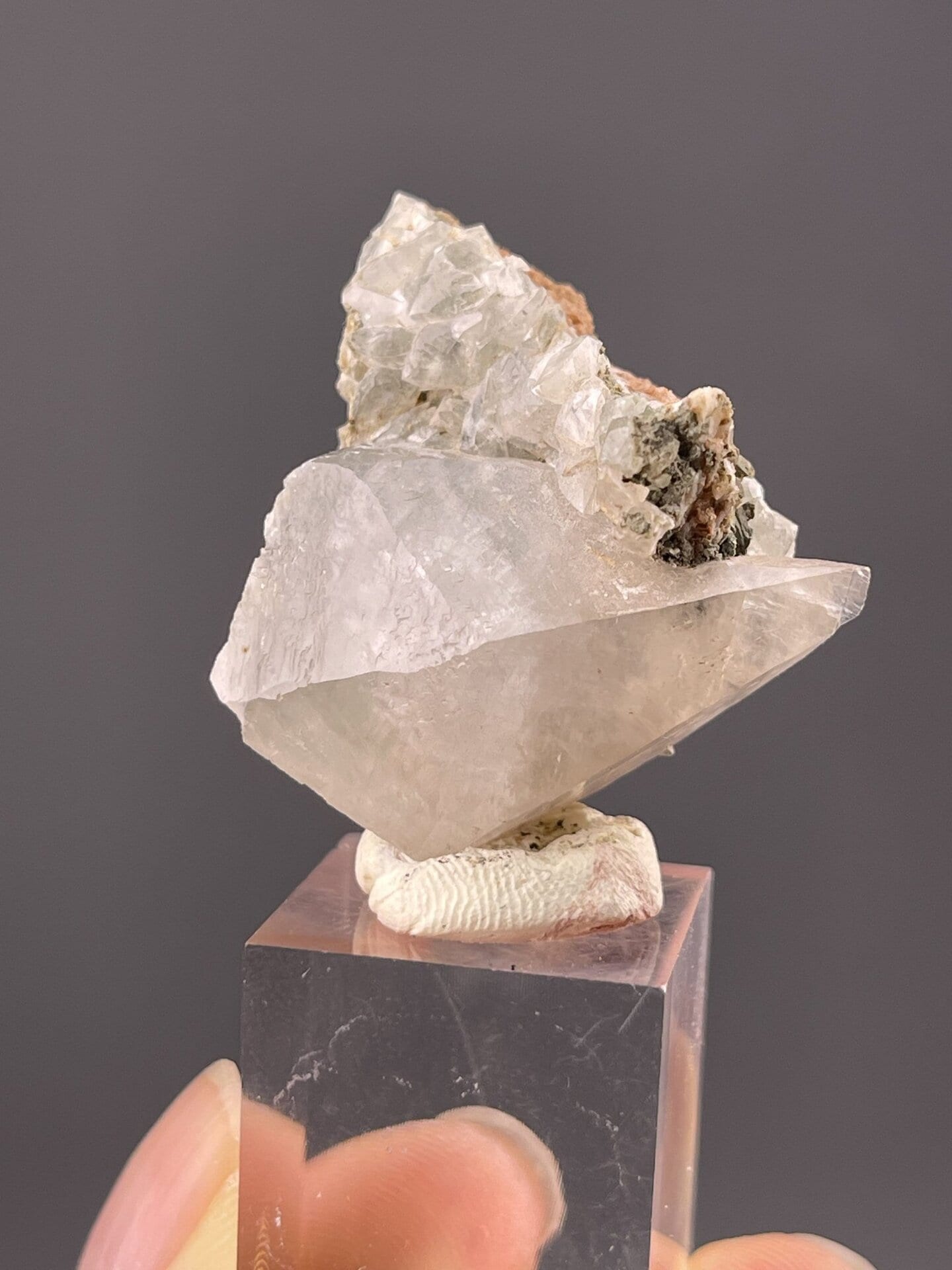 Side view of calcite showing branching dogtooth crystal habit