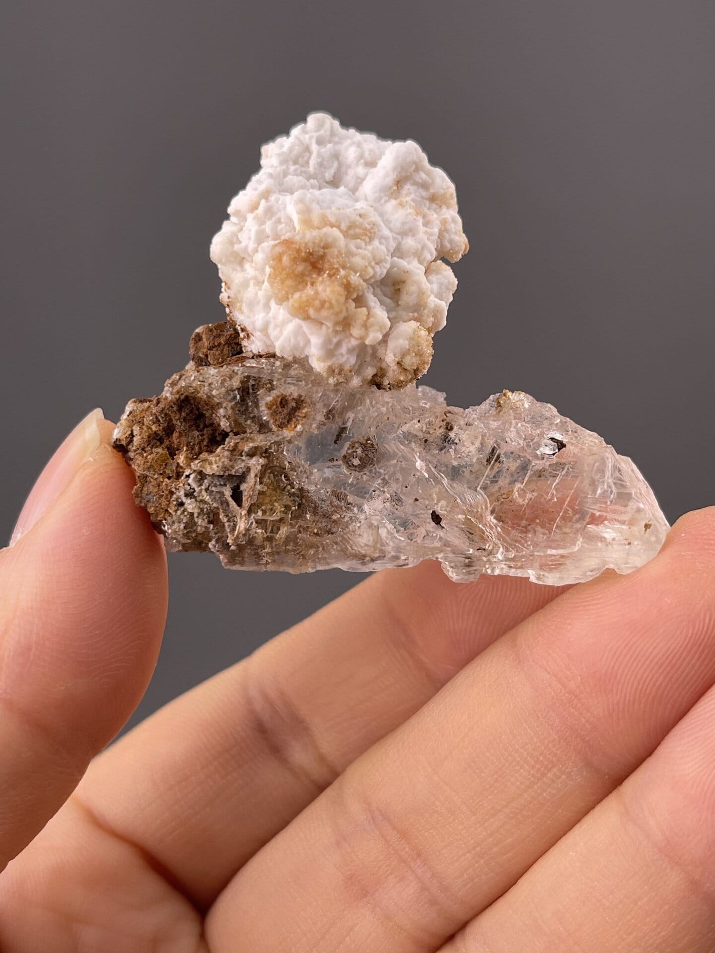 Top view of gypsum specimen from Guizhou showing texture pattern