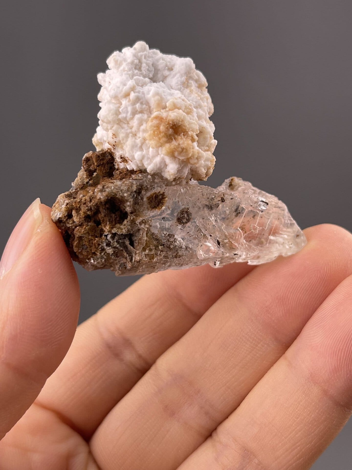Detail of individual gypsum nodules showing off-white colouring