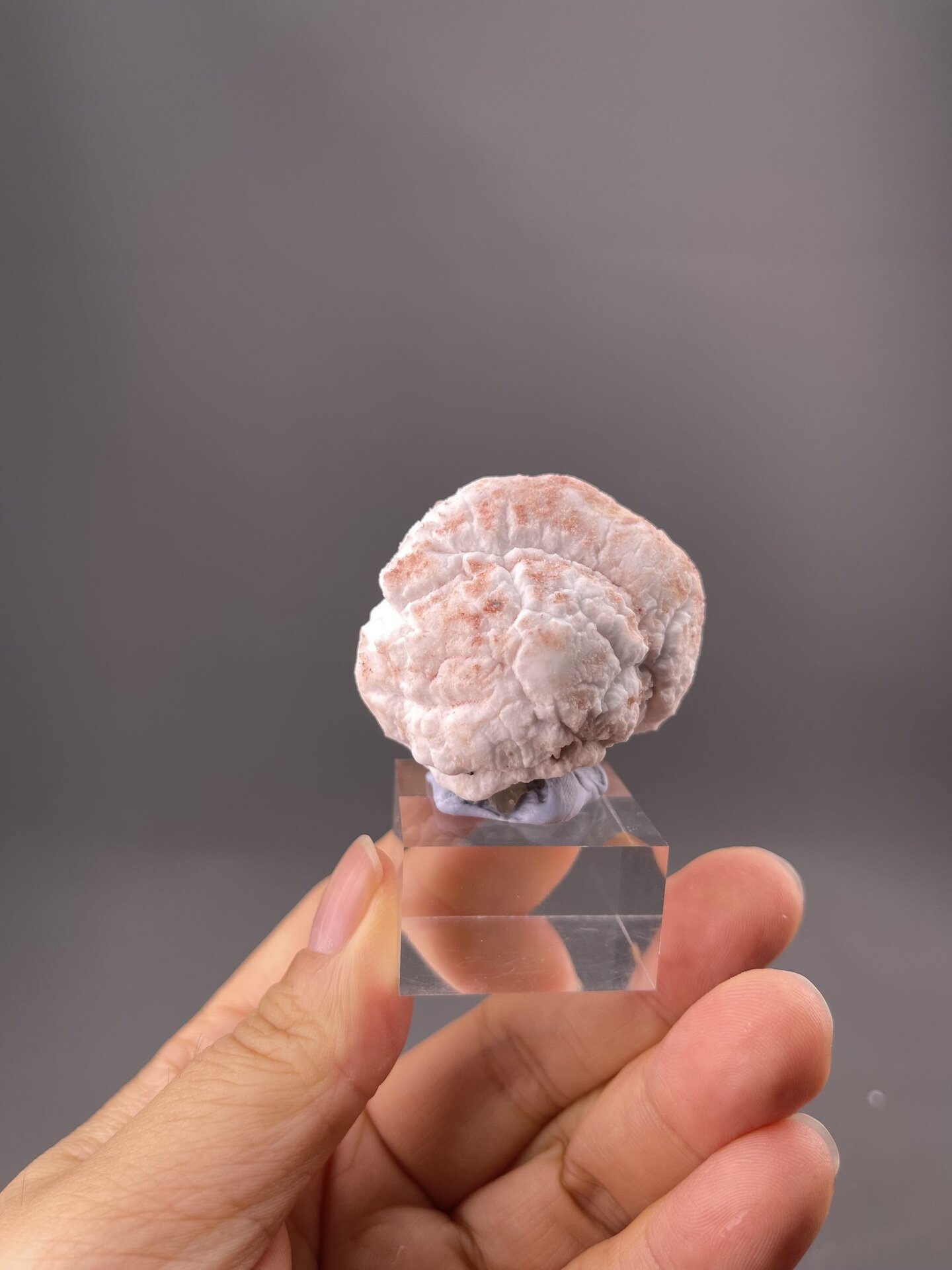 Gypsum mineral specimen from Guizhou