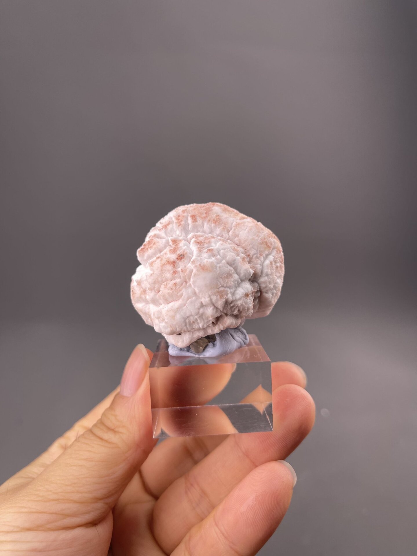 Gypsum Popcorn from Guizhou, China – scale reference view