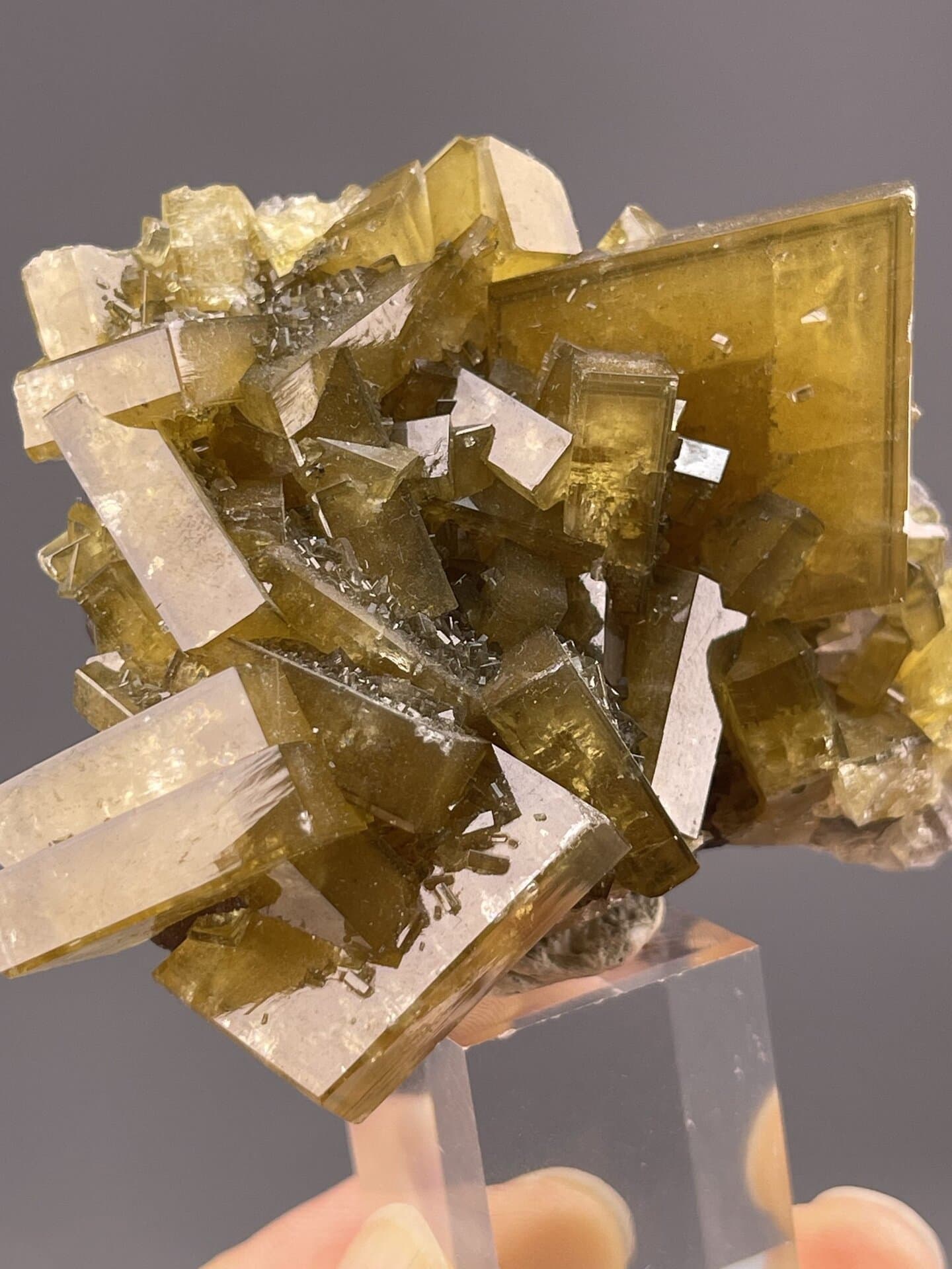 Golden-yellow barite showing elongated prismatic habit, 5.1 g