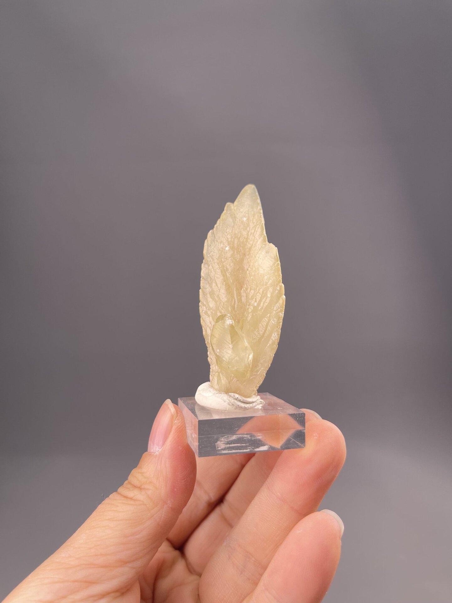 Pale yellow calcite with feather-like crystal habit, Anhui Province, China