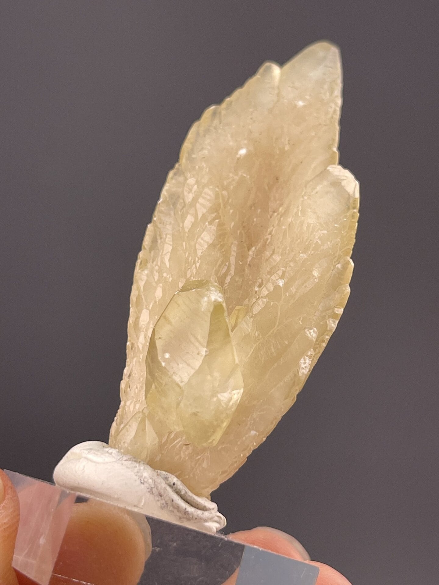 Translucent yellow calcite showing delicate feather structure, 1.1 g