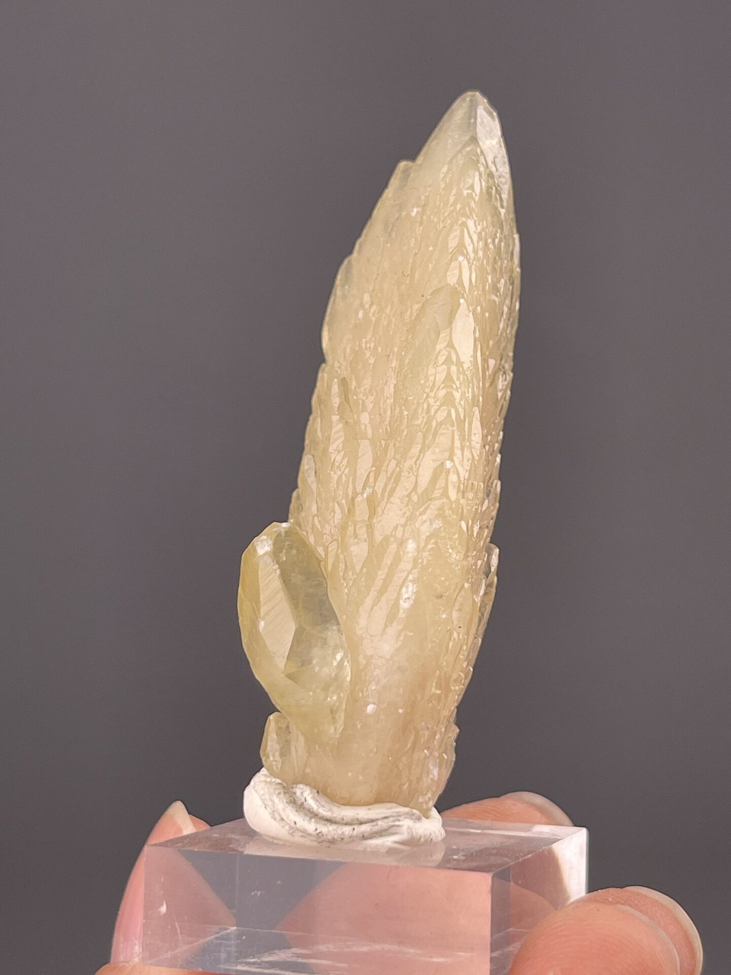 Close-up of calcite feather habit showing yellow translucency