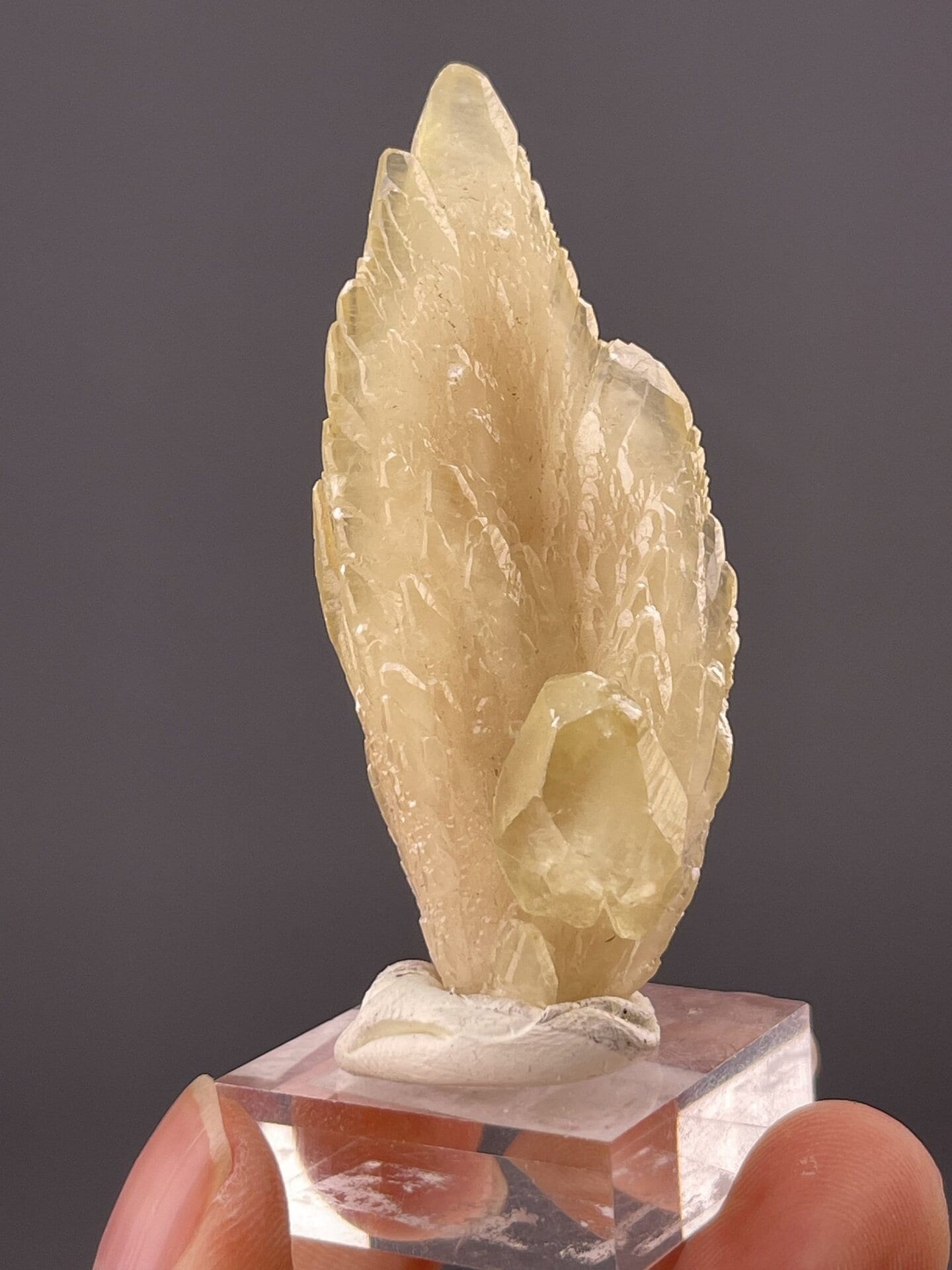 Side view of feather calcite showing elongated crystal arrangement