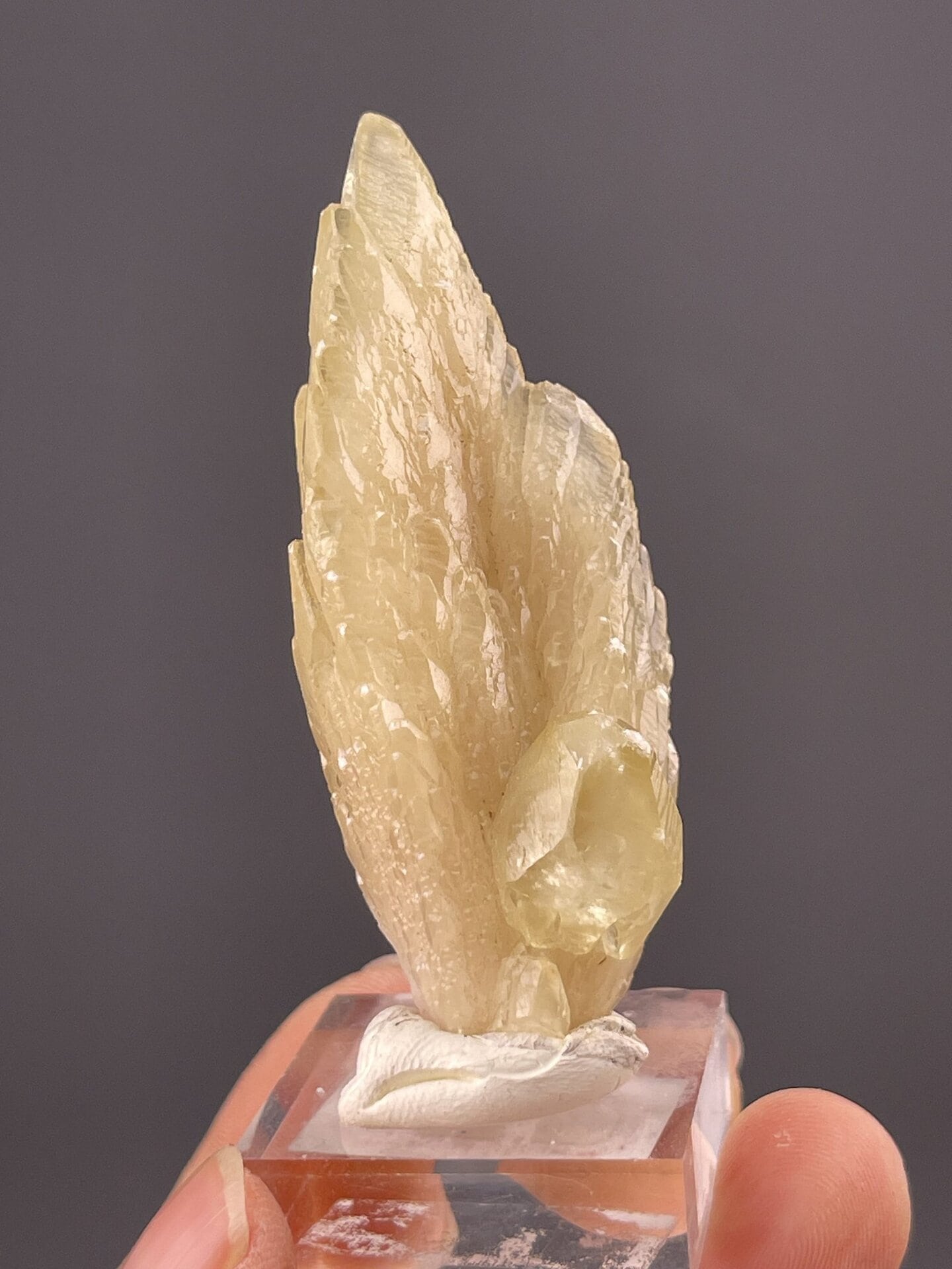 CaCO₃ trigonal calcite, Mohs 3, feather habit, Anhui Province China