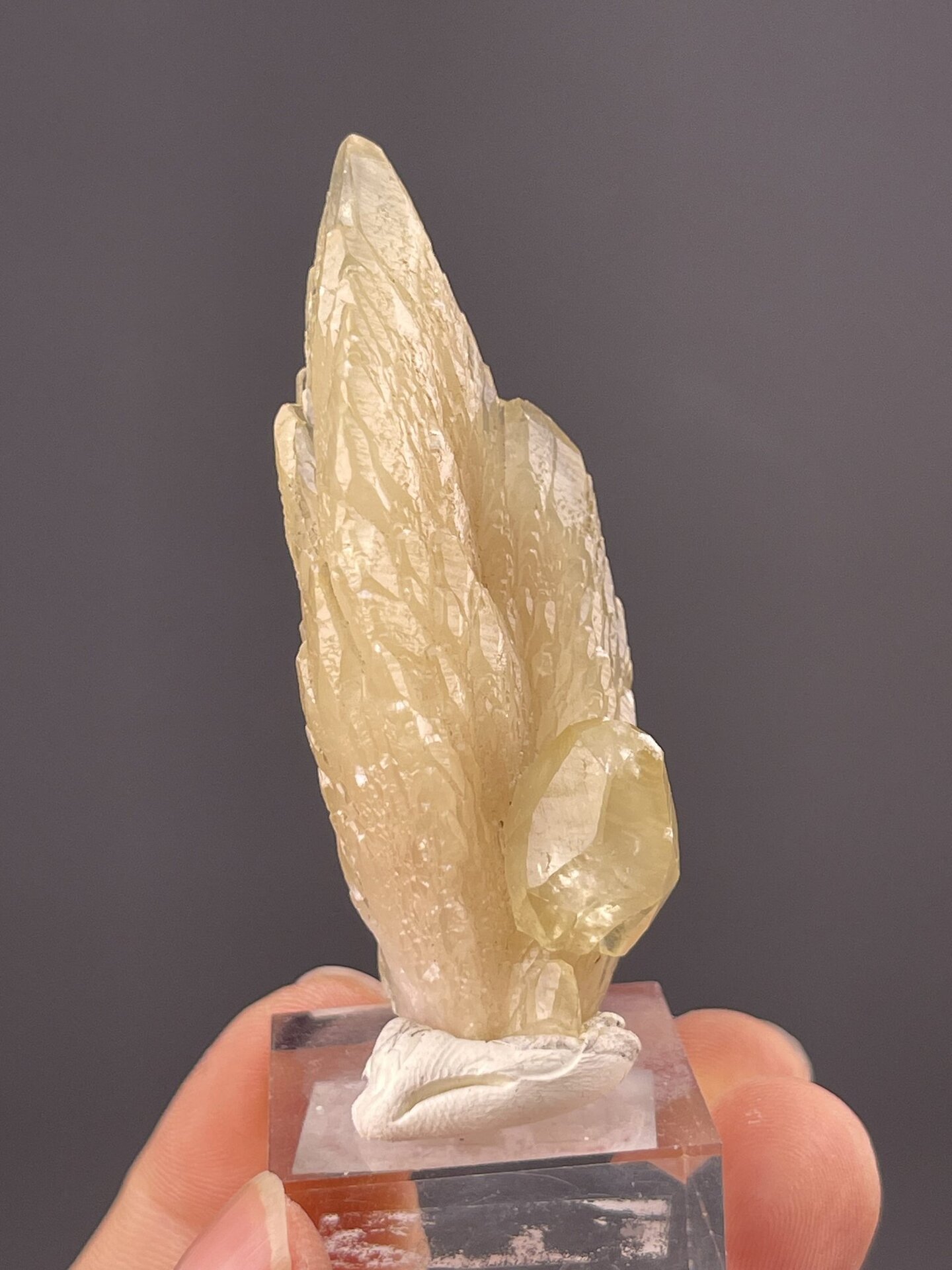 Top view of calcite feather showing radiating crystal pattern