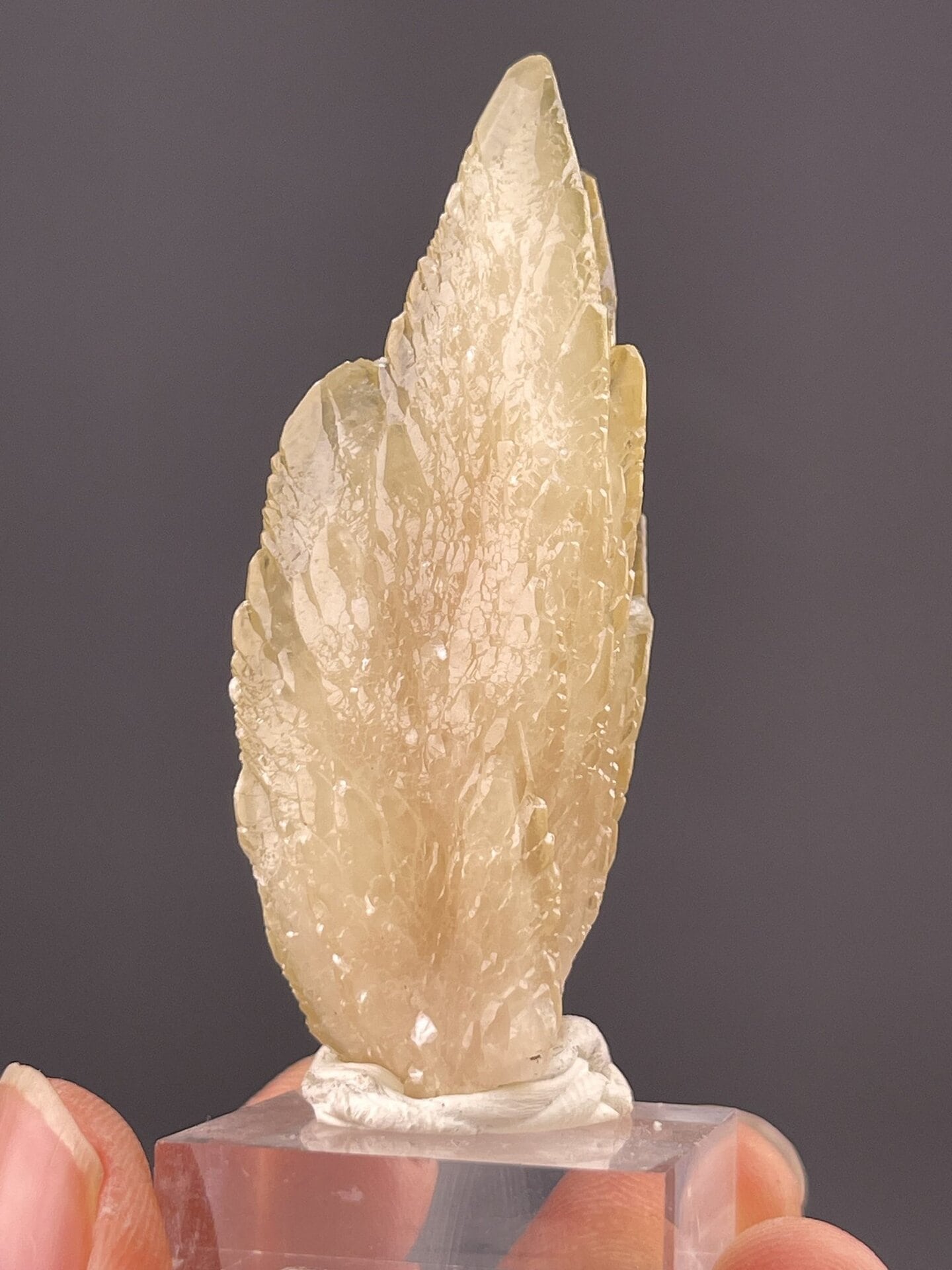 Yellow feather calcite mineral from Anhui Province China, SKU 1102