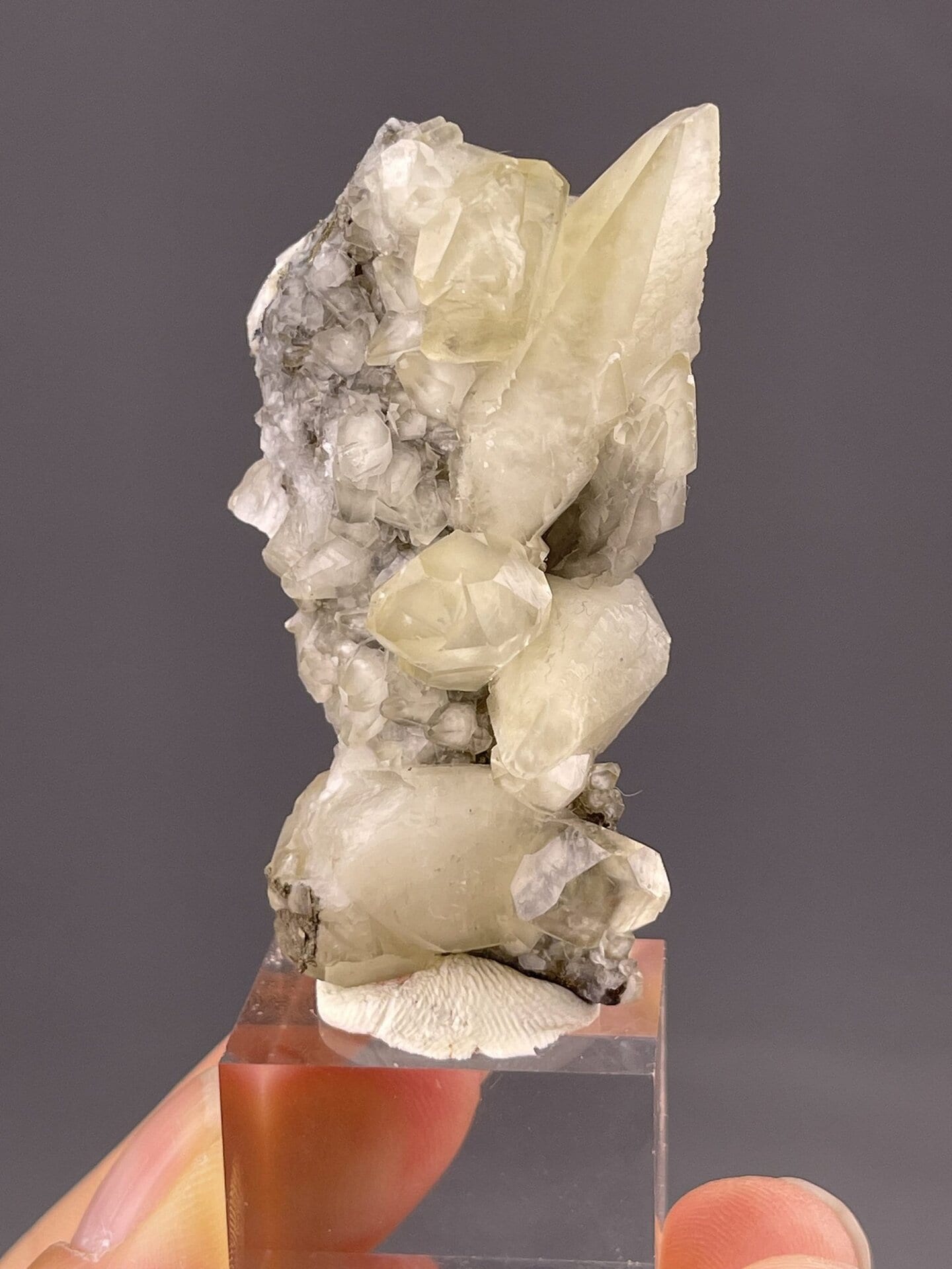 Front view of calcite feather, 23×12×9 mm, Daye Mine Hubei