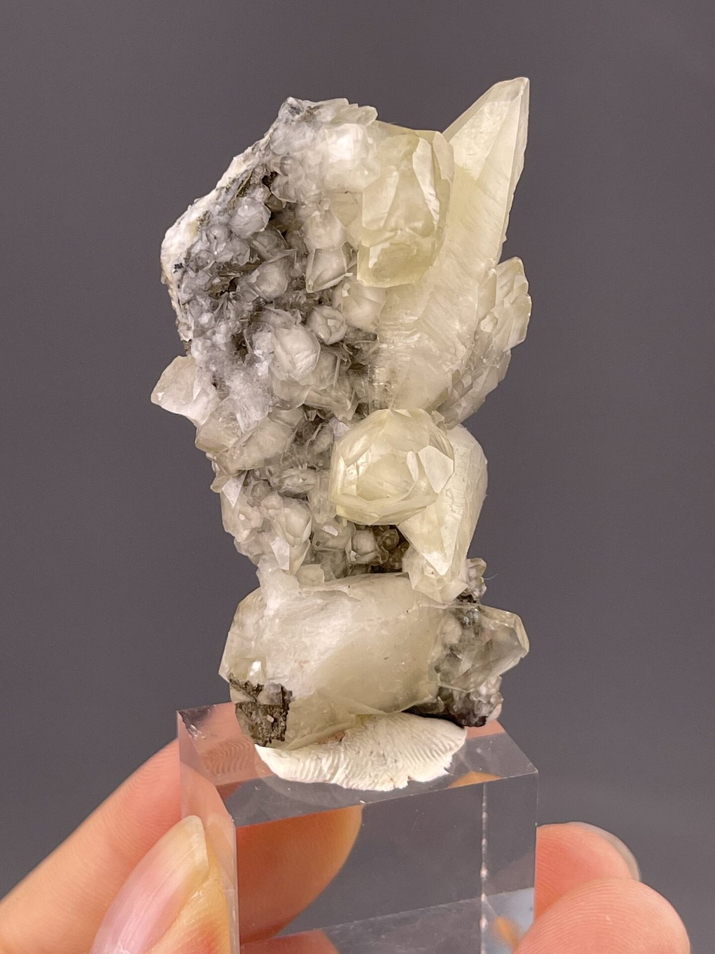 Close-up of yellow calcite showing feather-like habit