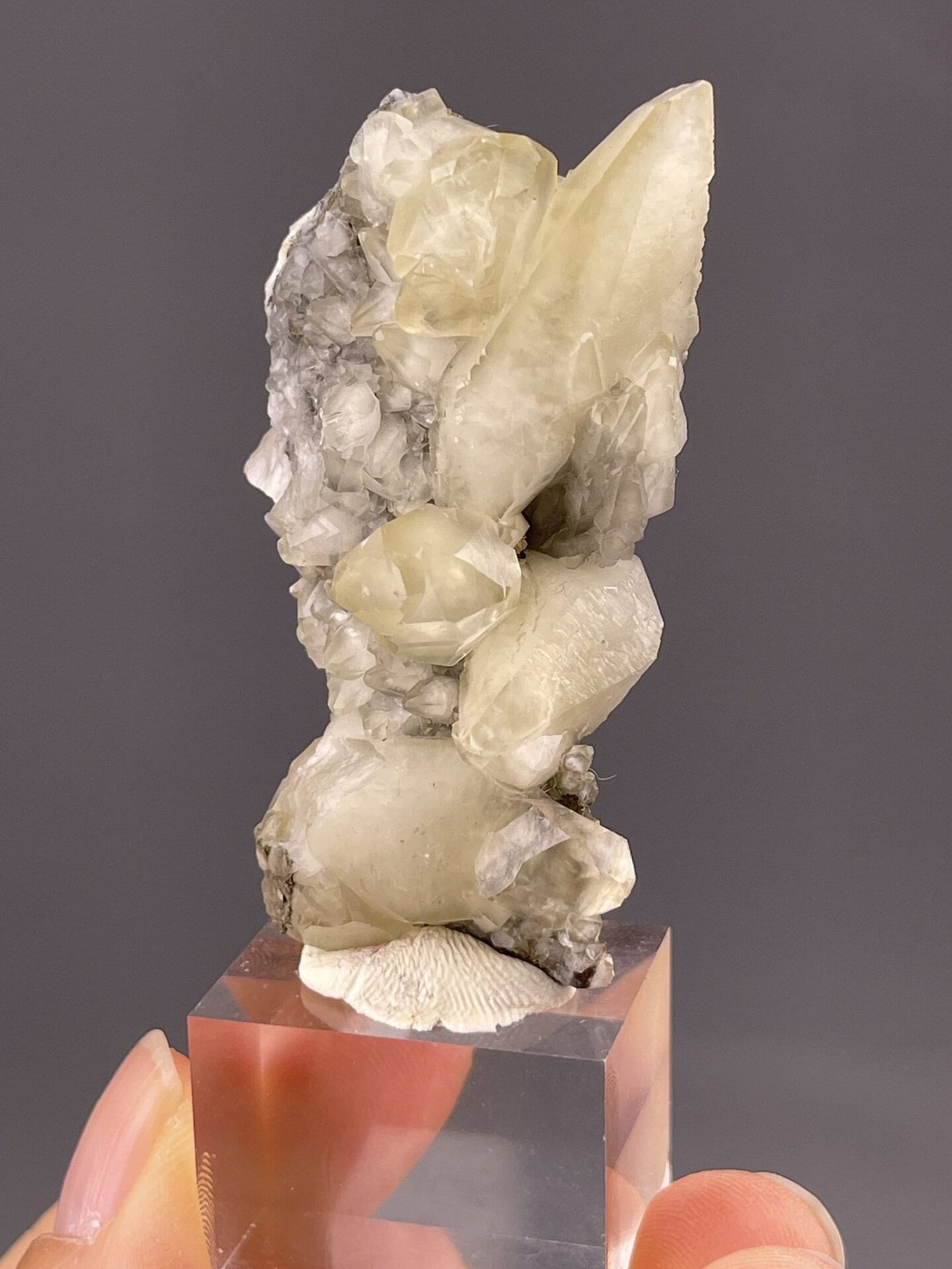 Side view of feather calcite showing quartz inclusion matrix