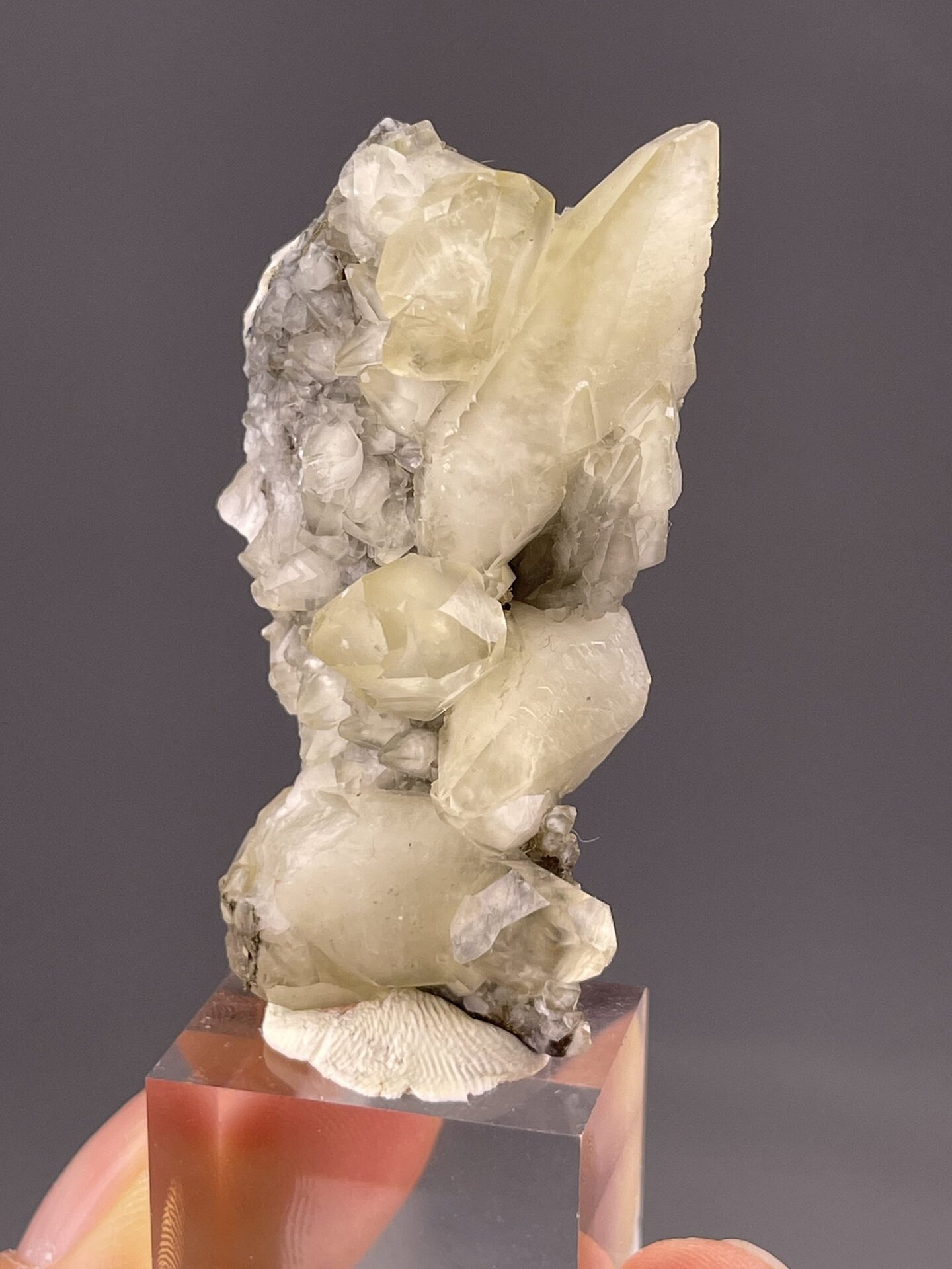 Top view of calcite feather showing spreading crystal arrangement