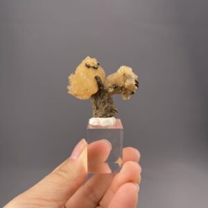 Vivid Yellow-Orange Calcite Specimen - Branching Formation - Daye Mine, China - Collector's Gem